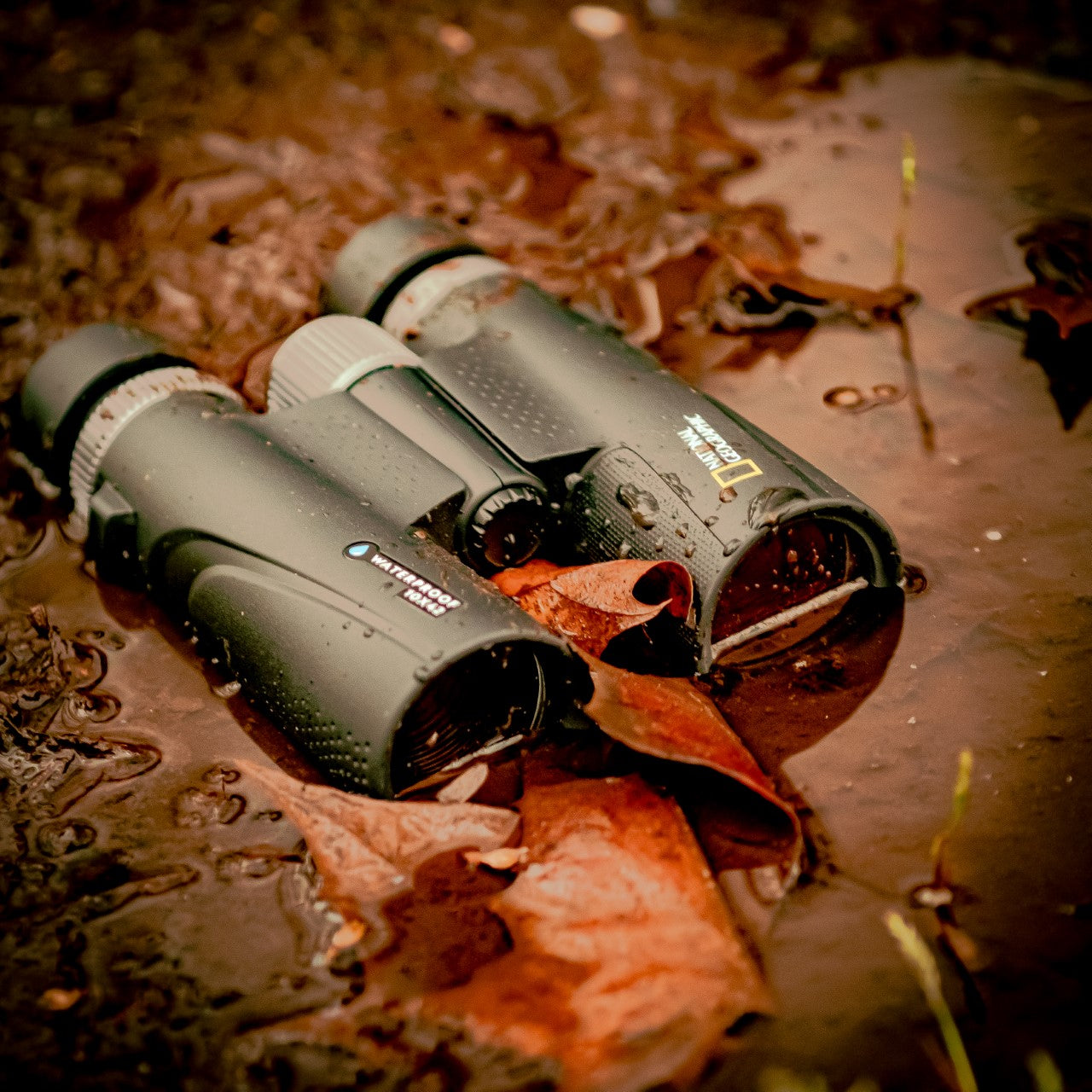 10x42 Waterproof Performance Roof Binoculars and Harness - Energize Trek