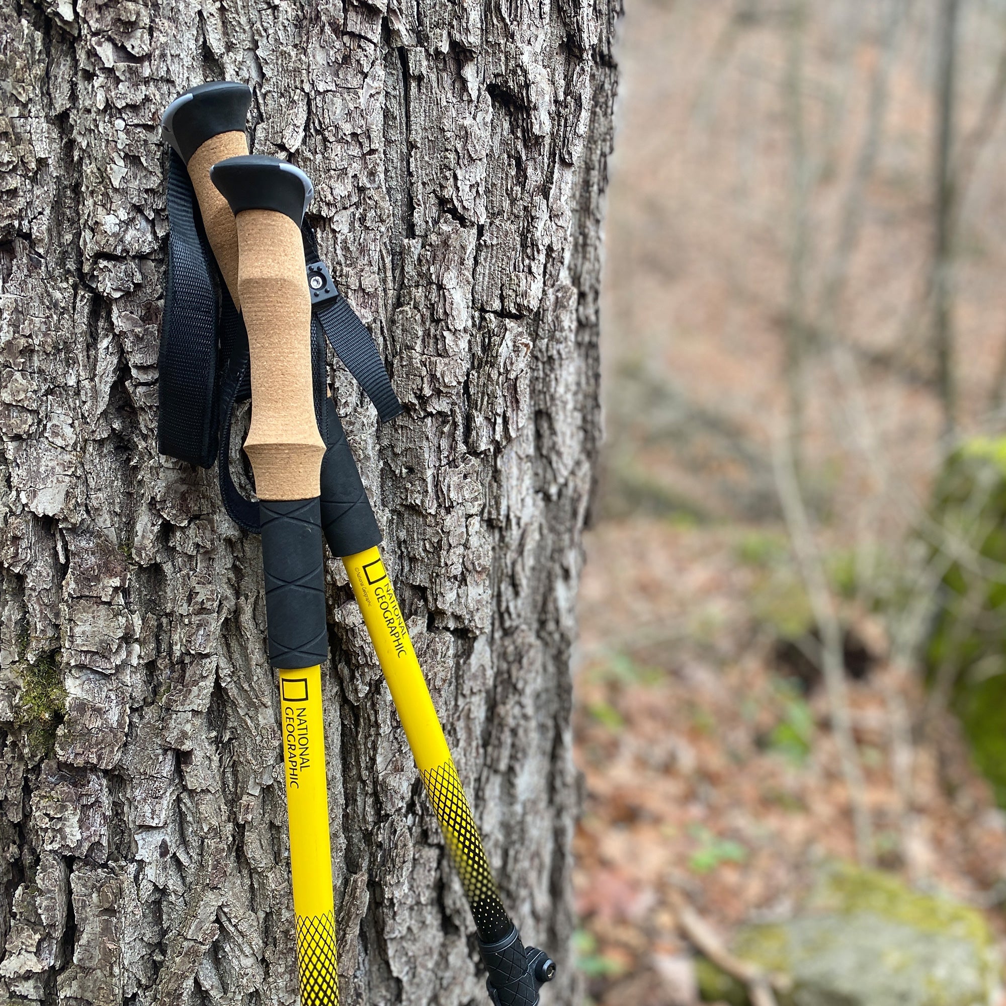 Carbon Trekking Poles Set