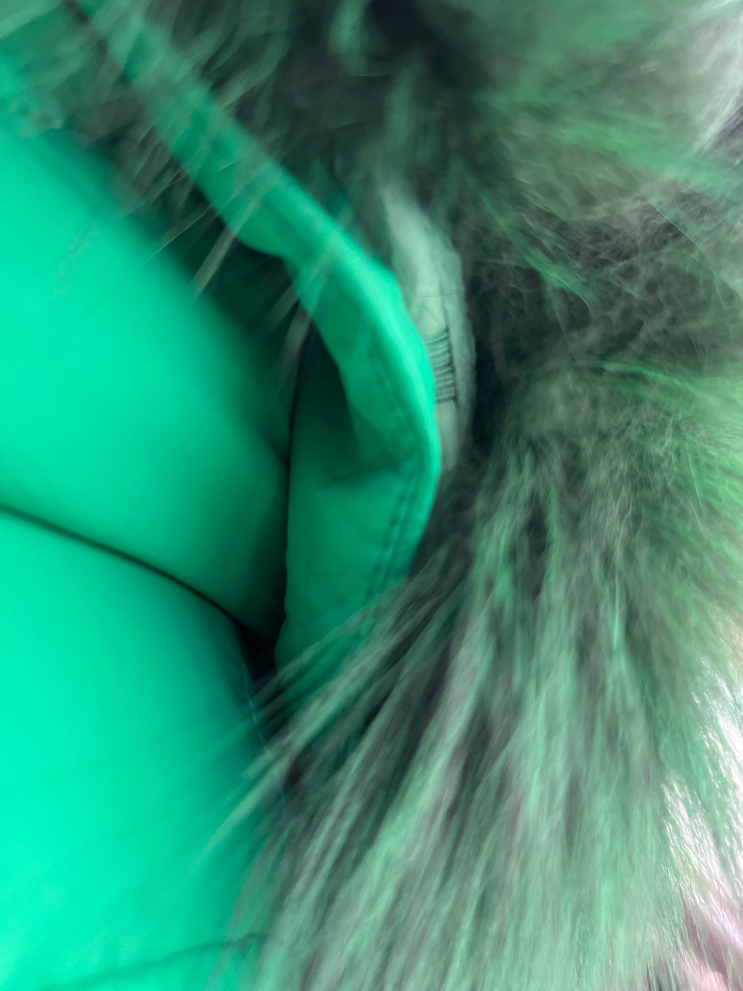 Genuine Silver Fox Fur Down Fill Parka - Energize Trek
