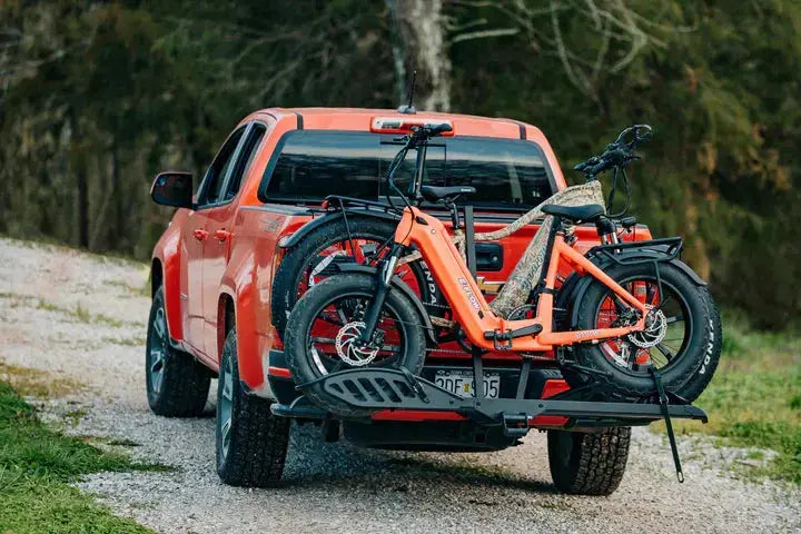 YOUNG Electric E-Flow 750W Folding eBike - Energize Trek