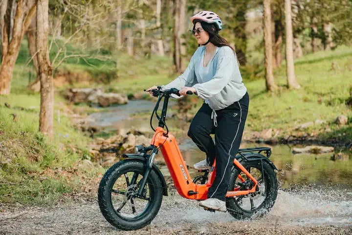 YOUNG Electric E-Flow 750W Folding eBike - Energize Trek
