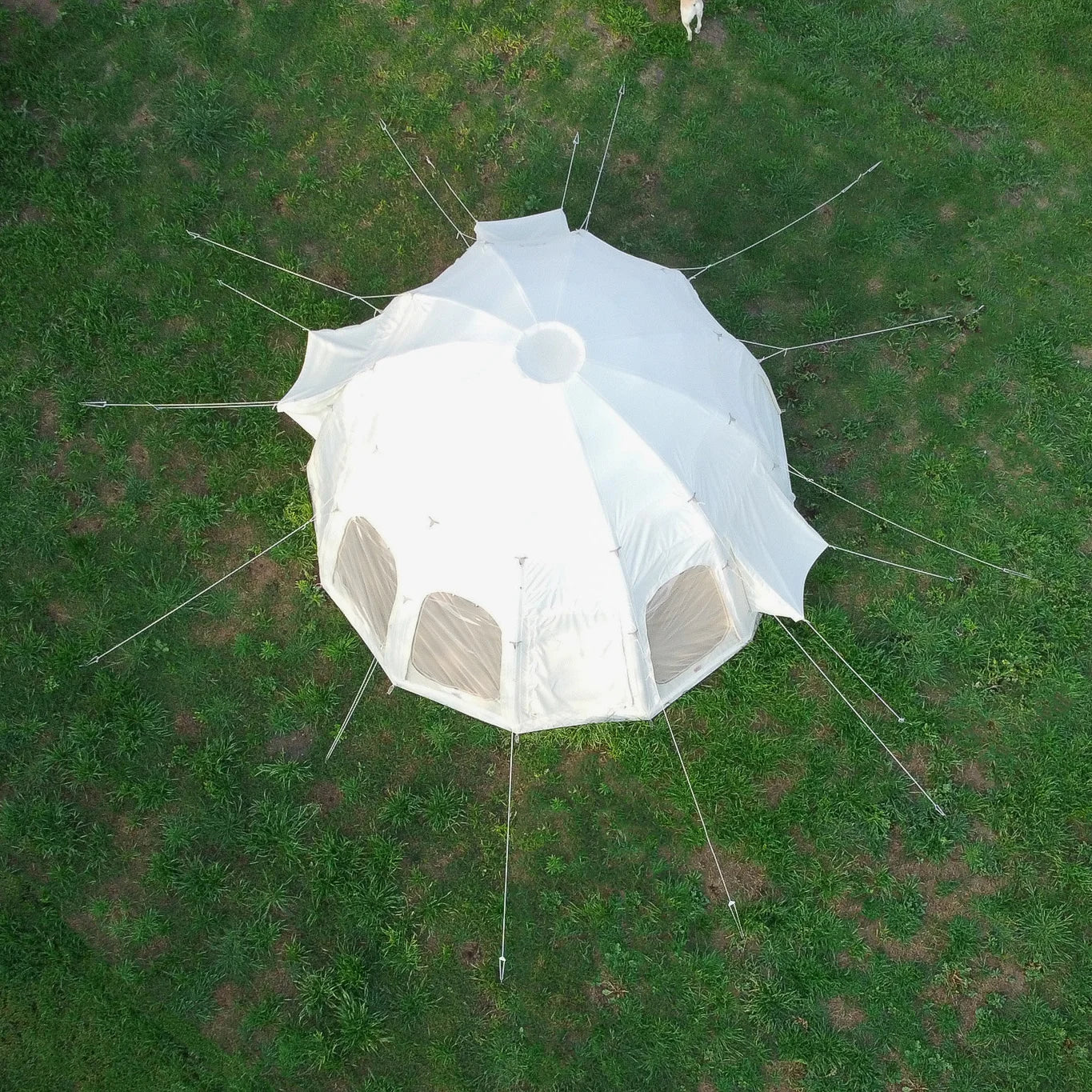 Jellyfish Air Beam Tent | 16-Foot - Energize Trek