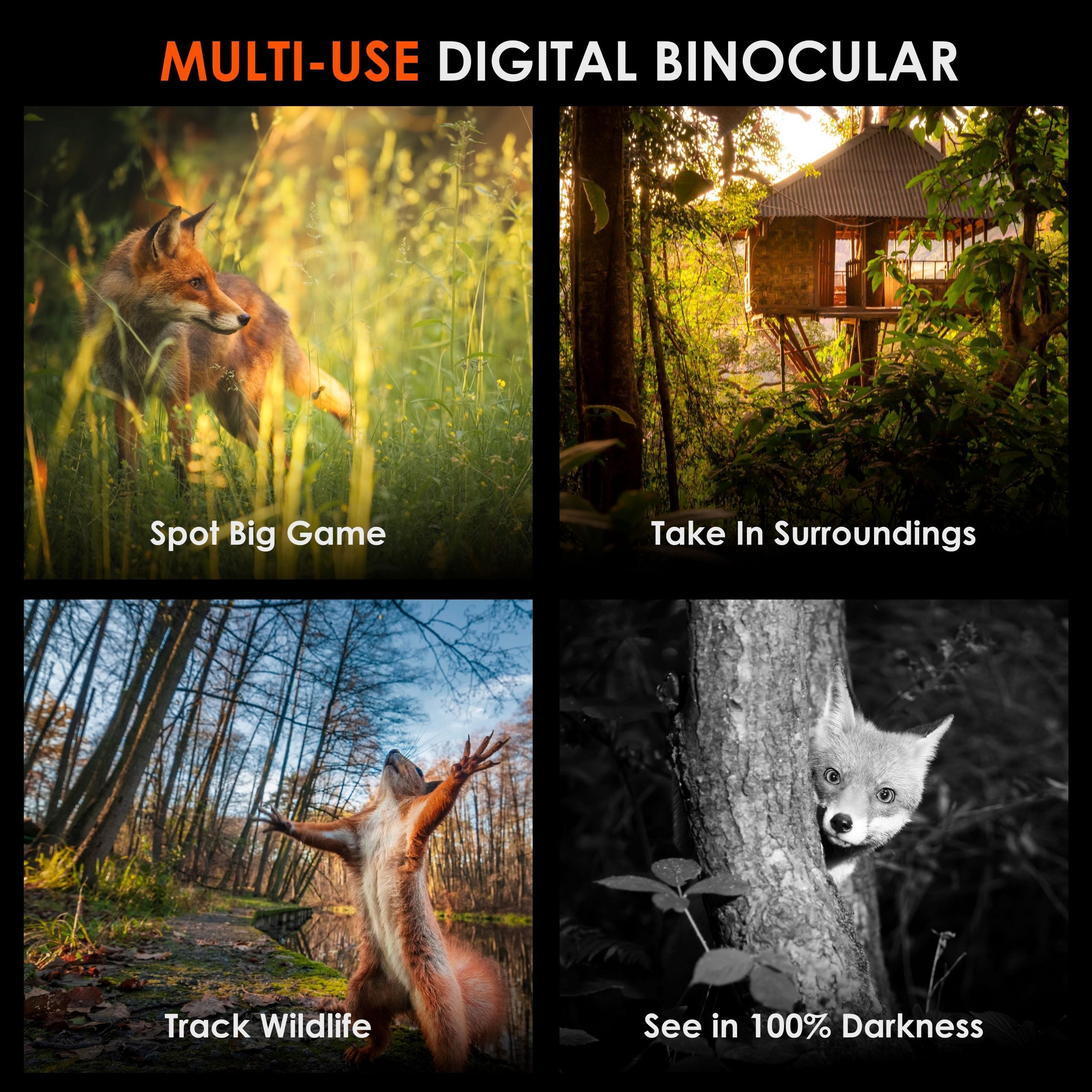 Rexing B1 Pro – 4K IR Night Vision Digital Binocular - Energize Trek
