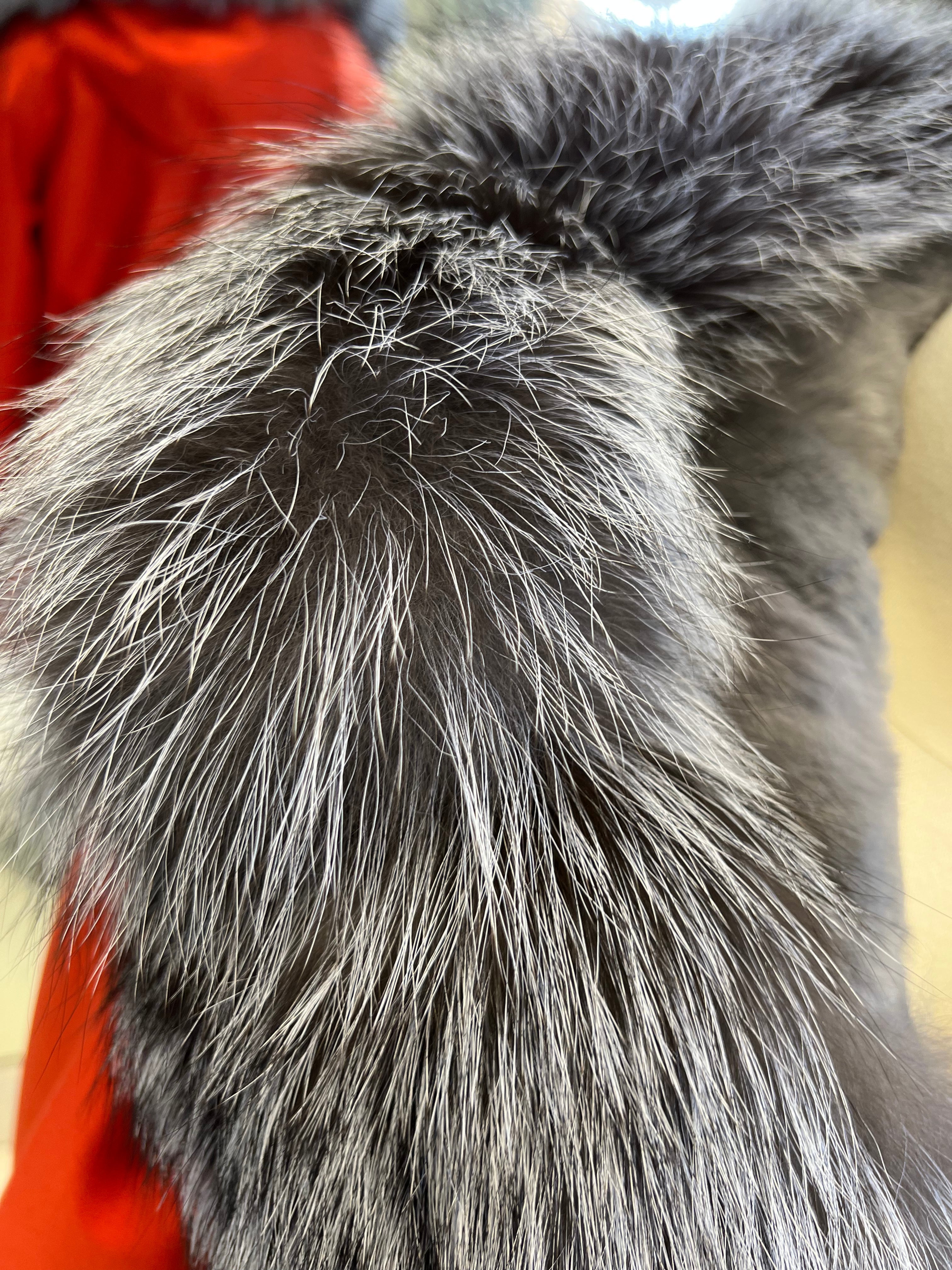 Roma Genuine Silver Fox Fur Rabbit Fur Insulated Parka in Red - Energize Trek