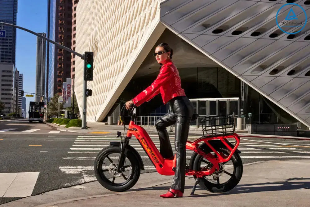 COLLIE CARGO EBIKE - Energize Trek