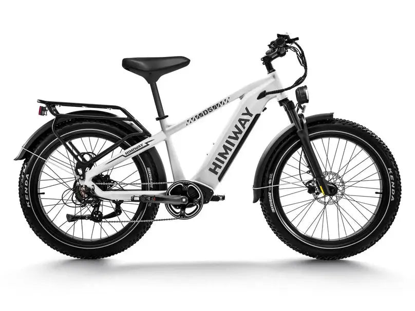 D5(Zebra) / All-terrain Electric Fat Bike - Energize Trek