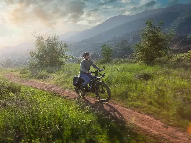D5 (Zebra) / All-terrain Electric Fat Bike - Energize Trek