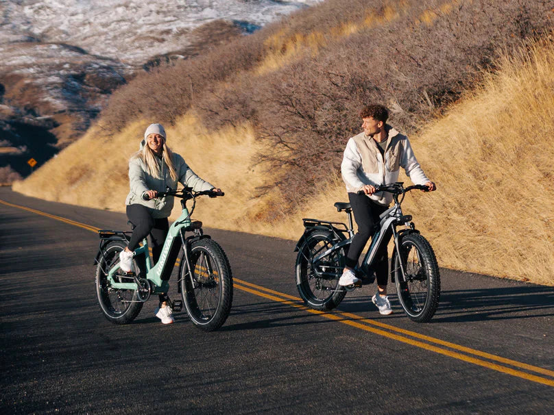 D5 (Zebra) / All-terrain Electric Fat Bike - Energize Trek