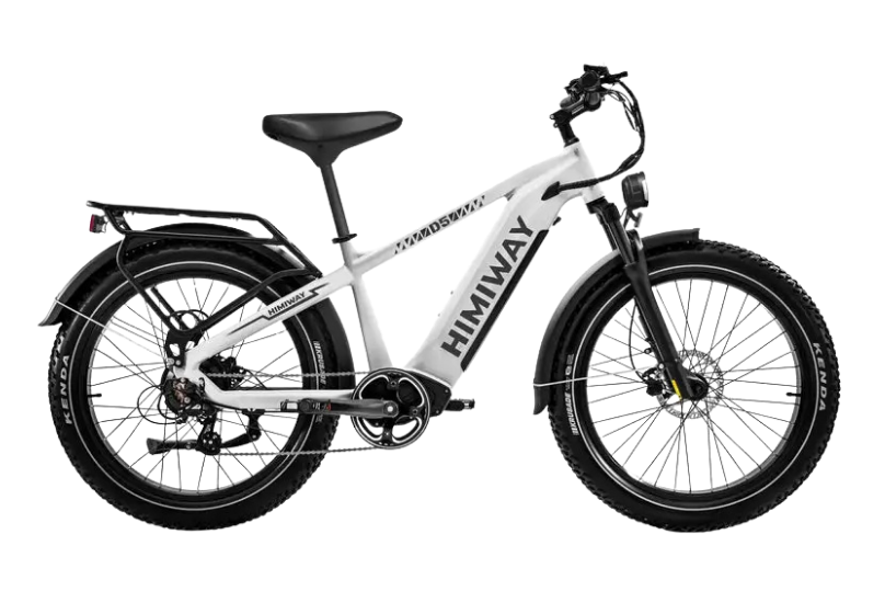 D5 (Zebra) / All-terrain Electric Fat Bike - Energize Trek