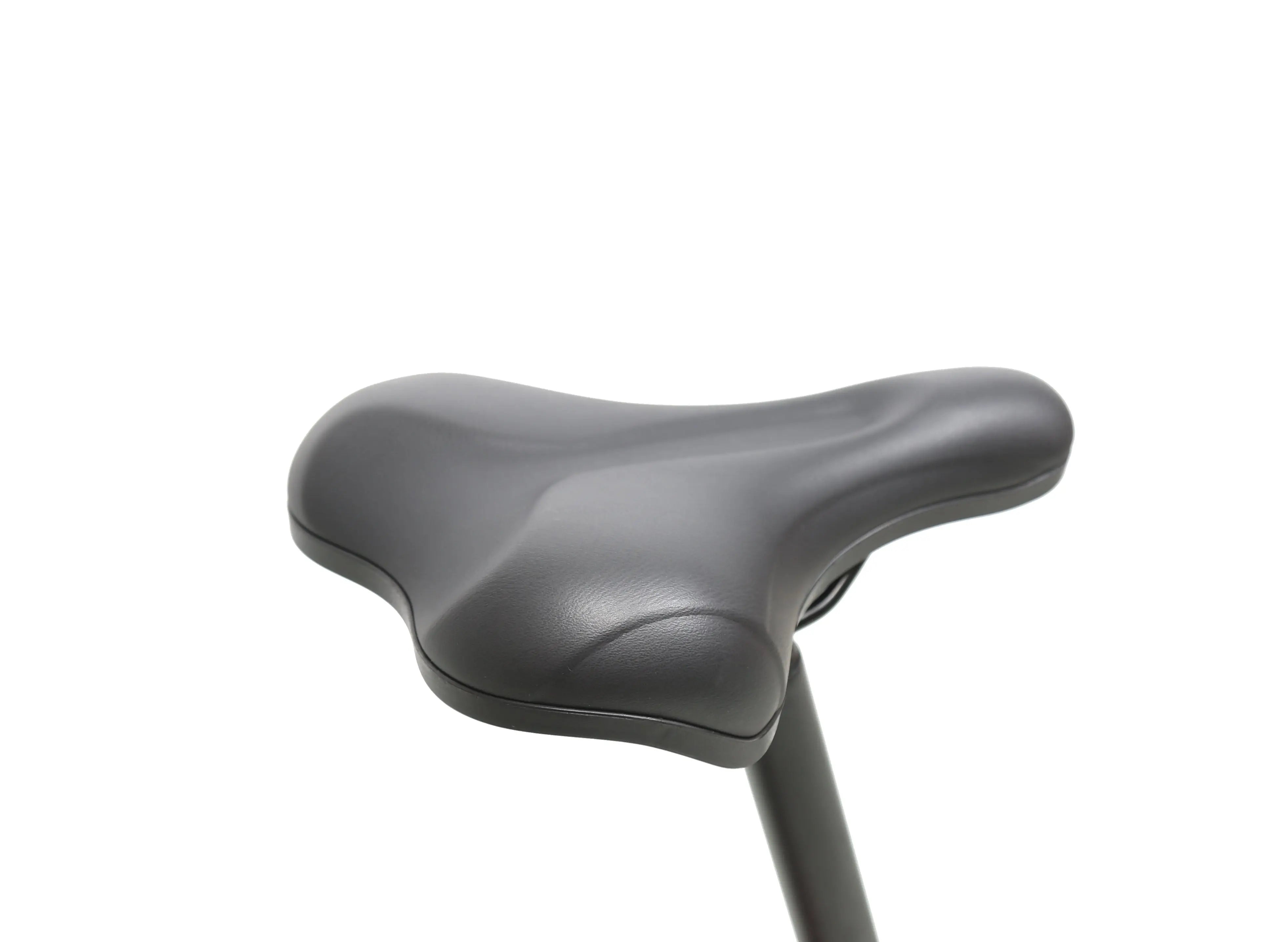 EPIK SWAN 2.0 | Electric Folding Step Through E-Bike - Energize Trek