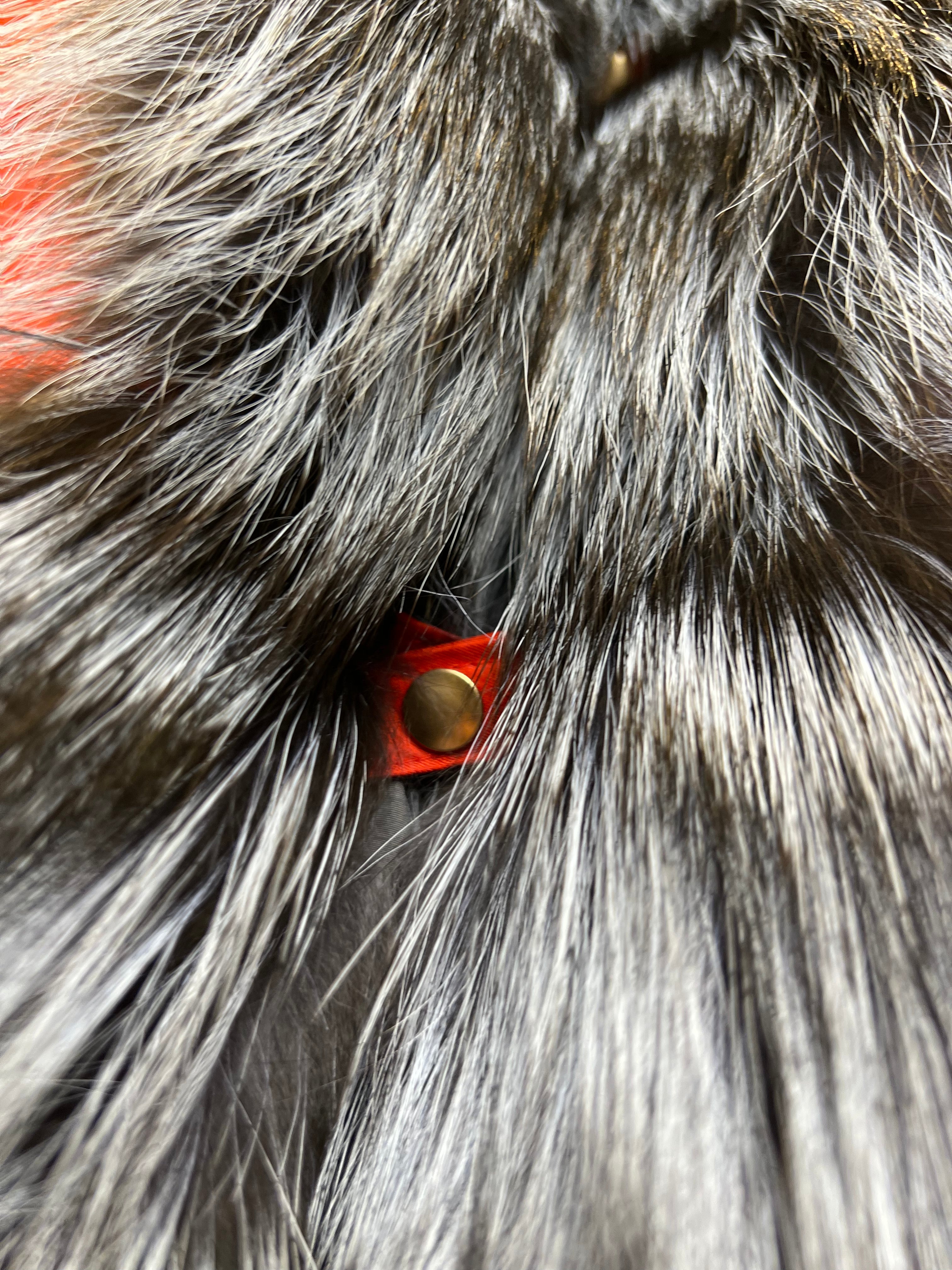 Roma Genuine Silver Fox Fur Rabbit Fur Insulated Parka in Red - Energize Trek