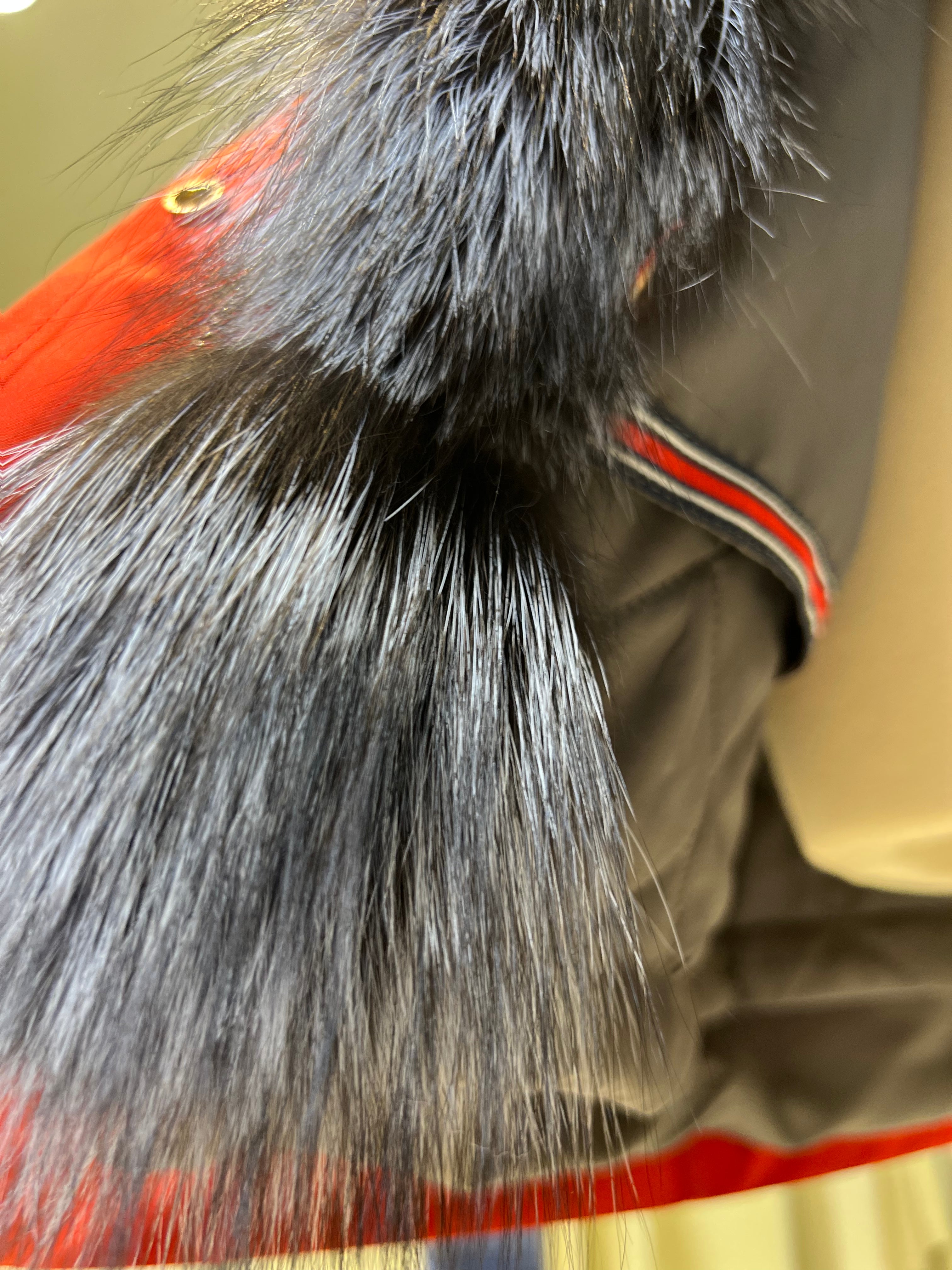 Roma Genuine Silver Fox Fur Rabbit Fur Insulated Parka in Red - Energize Trek