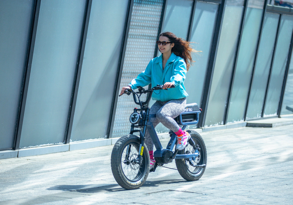 FLASH AWD 1.0 - Energize Trek