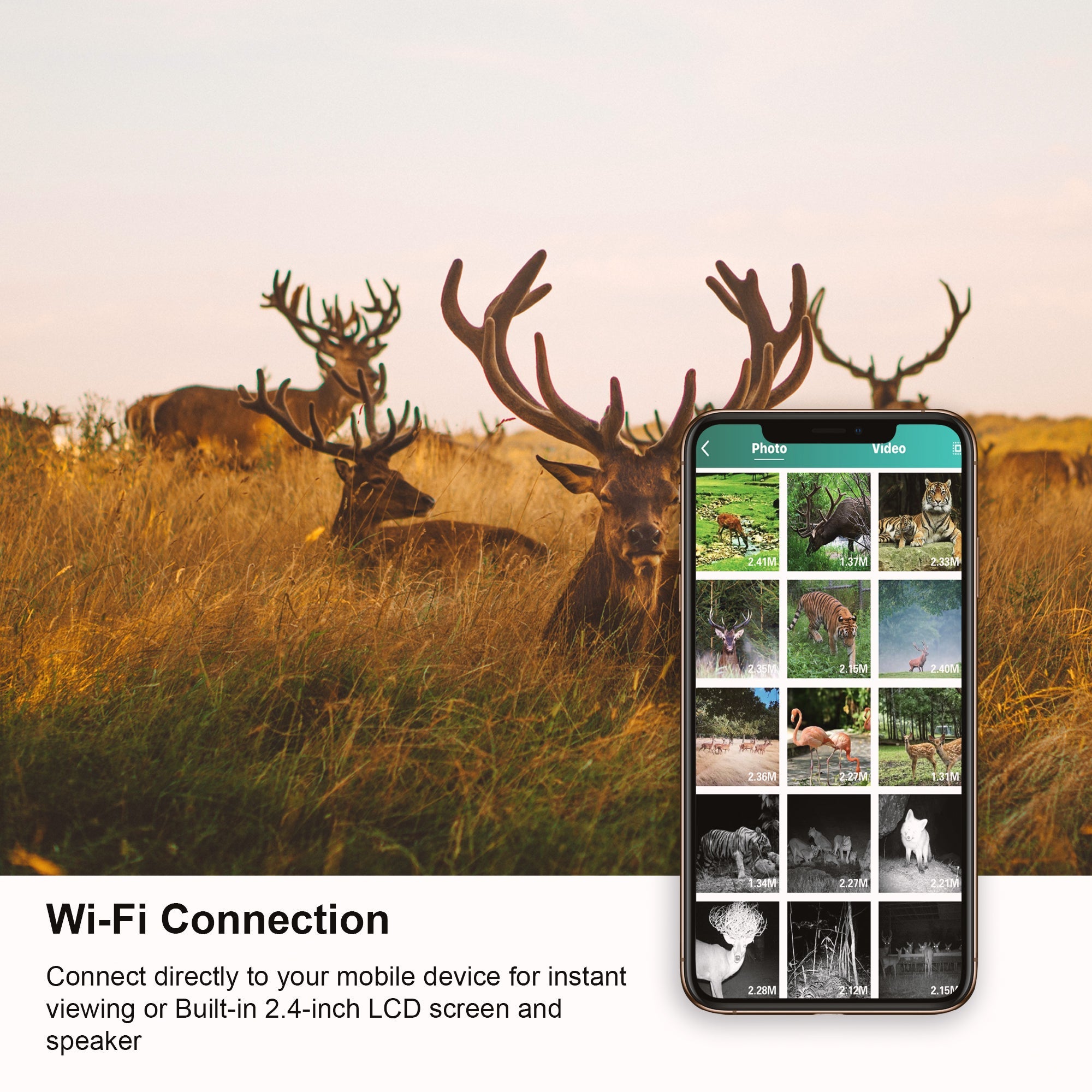 Rexing Woodlens H2 4K Wi-Fi Trail Camera * 2PCS PACK - Energize Trek