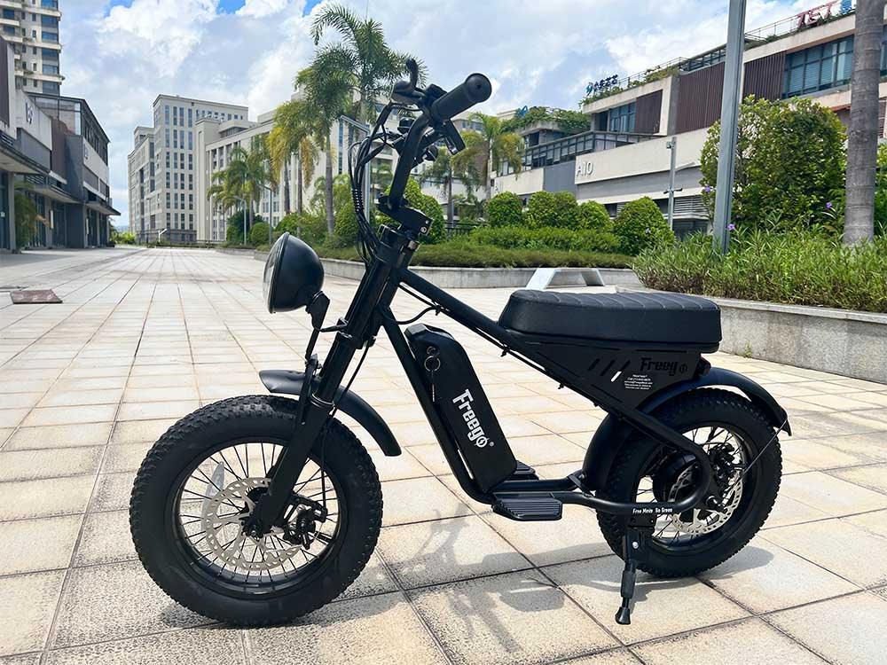 Freego Mini Fat Tire Electric Bike - Energize Trek