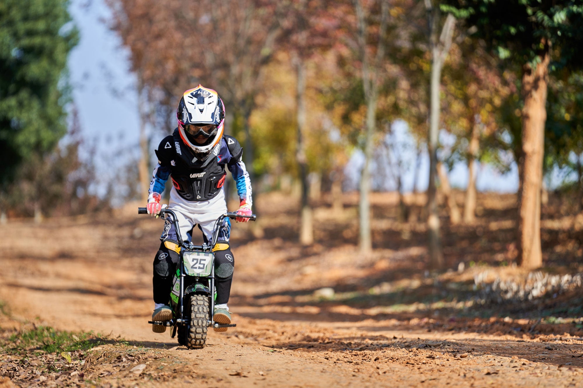 24V 250 Watt Mini Bike - Energize Trek
