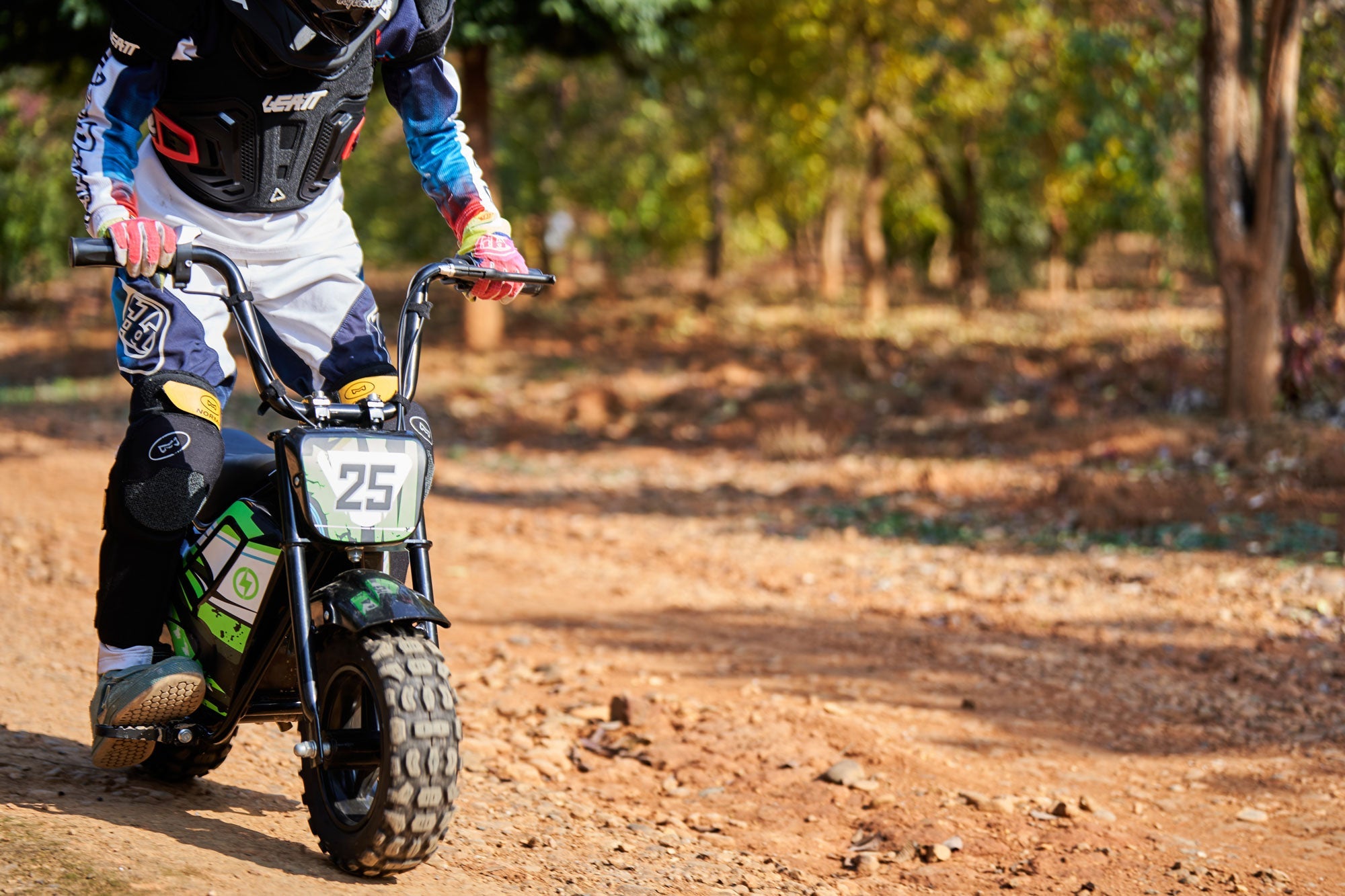 24V 250 Watt Mini Bike - Energize Trek