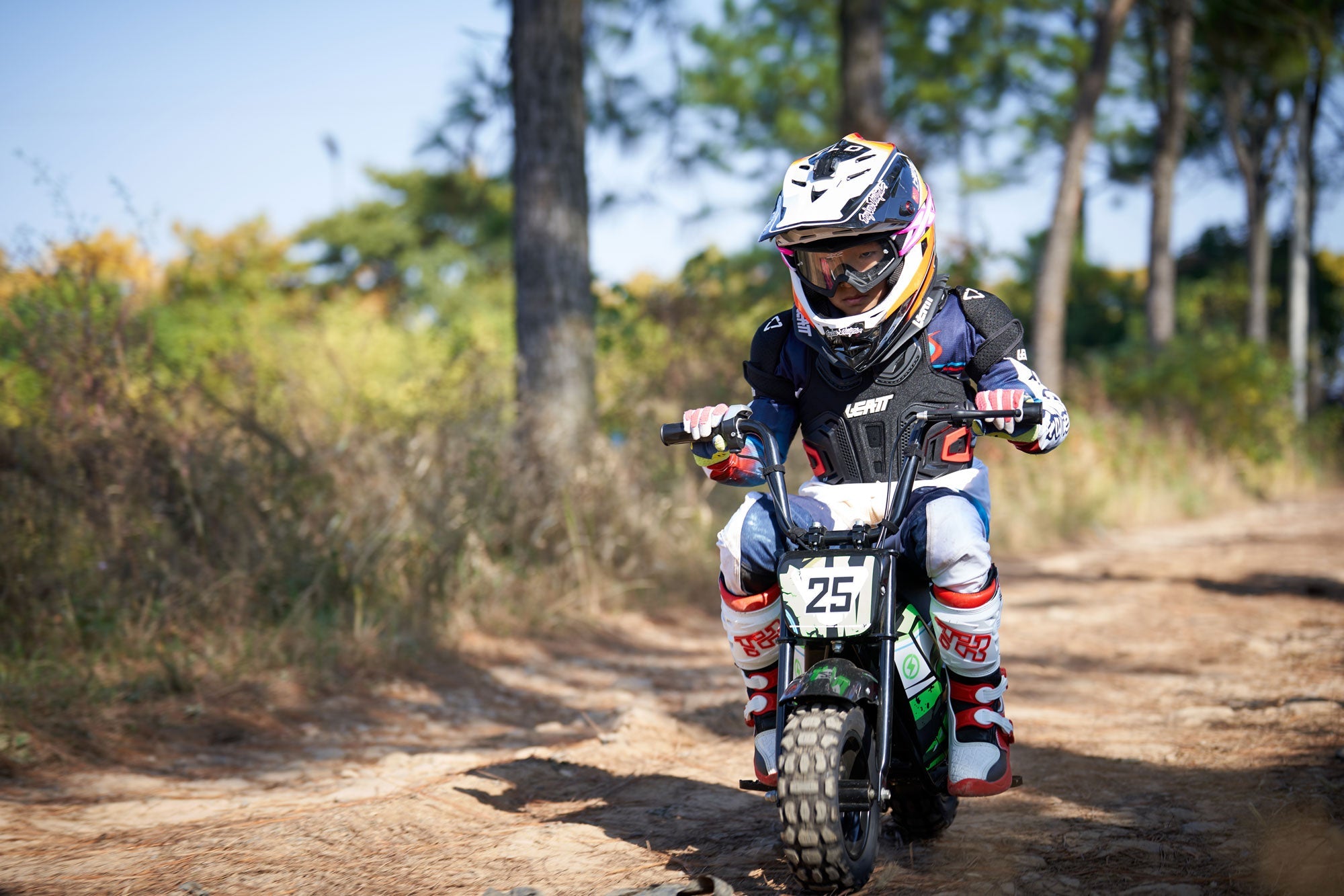 24V 250 Watt Mini Bike - Energize Trek