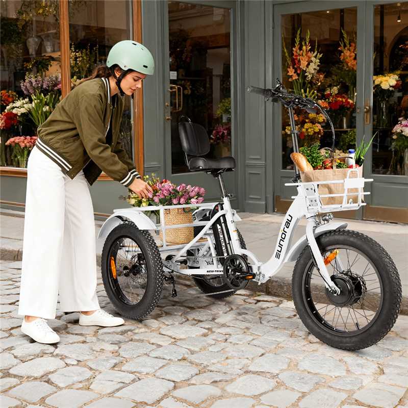 NEW-TRIKE 2.0 - Energize Trek