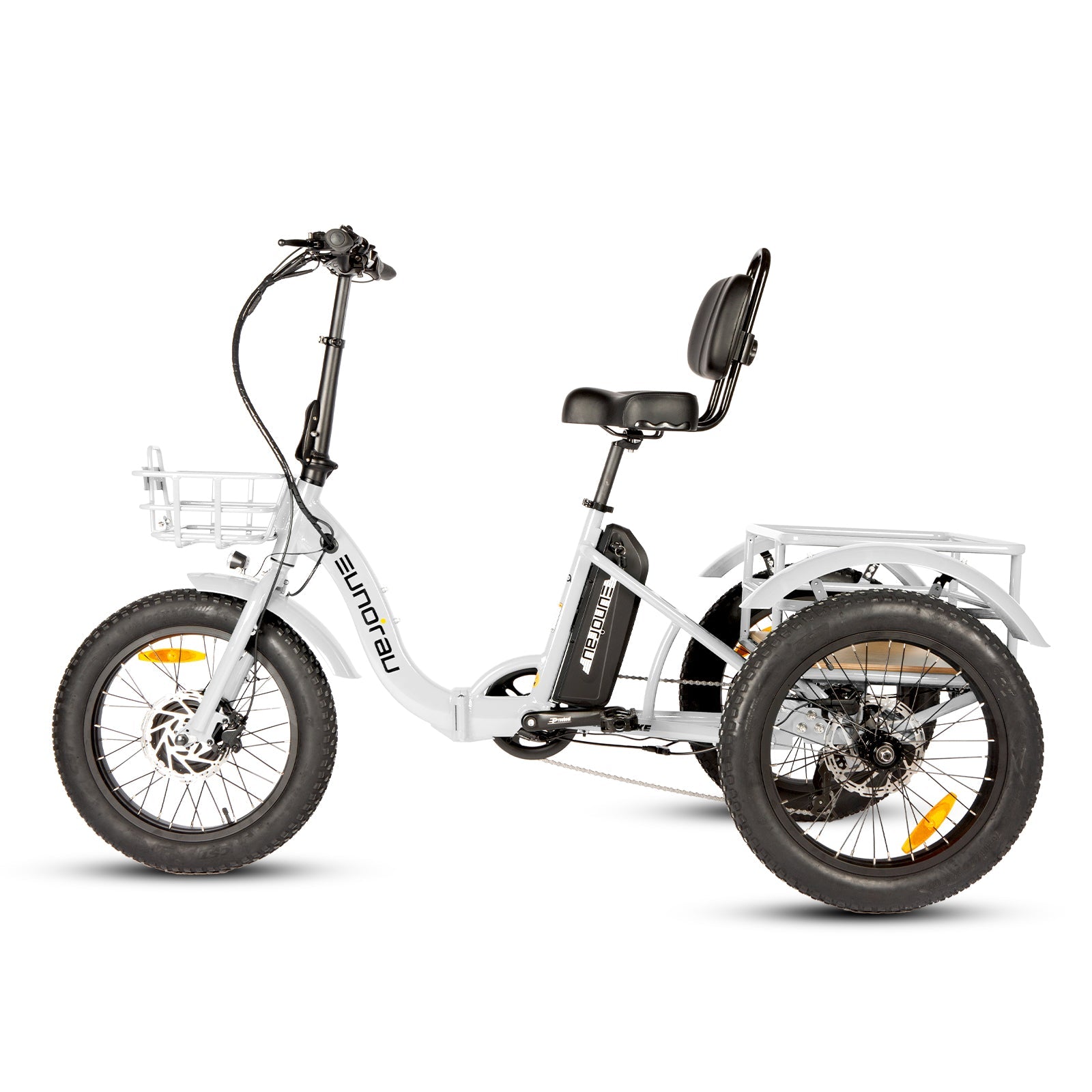 NEW-TRIKE 2.0 - Energize Trek