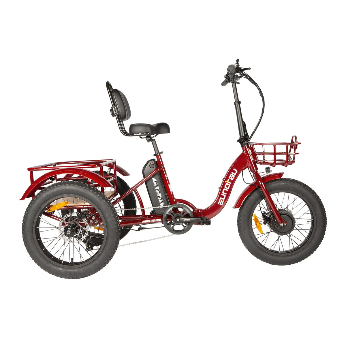 NEW-TRIKE 2.0 - Energize Trek
