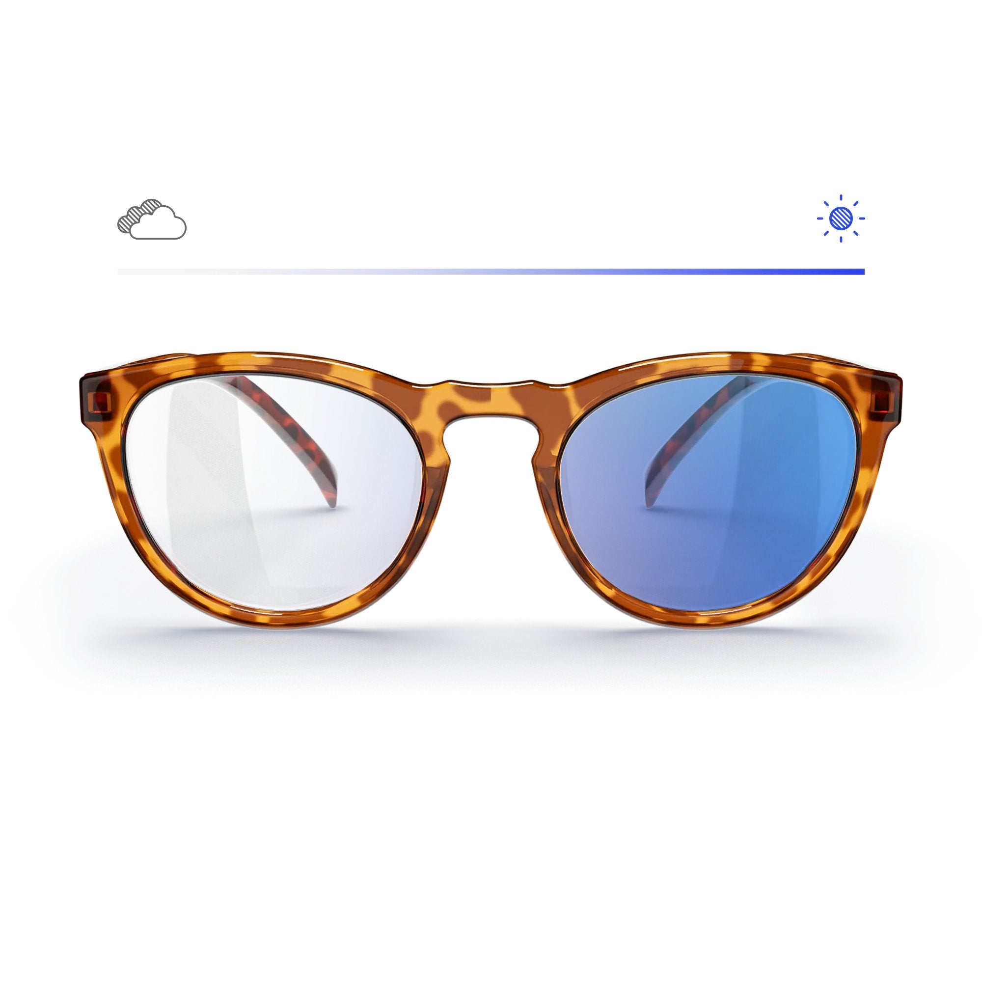 Tortoise Round Prescription Transitions® Colors - Energize Trek