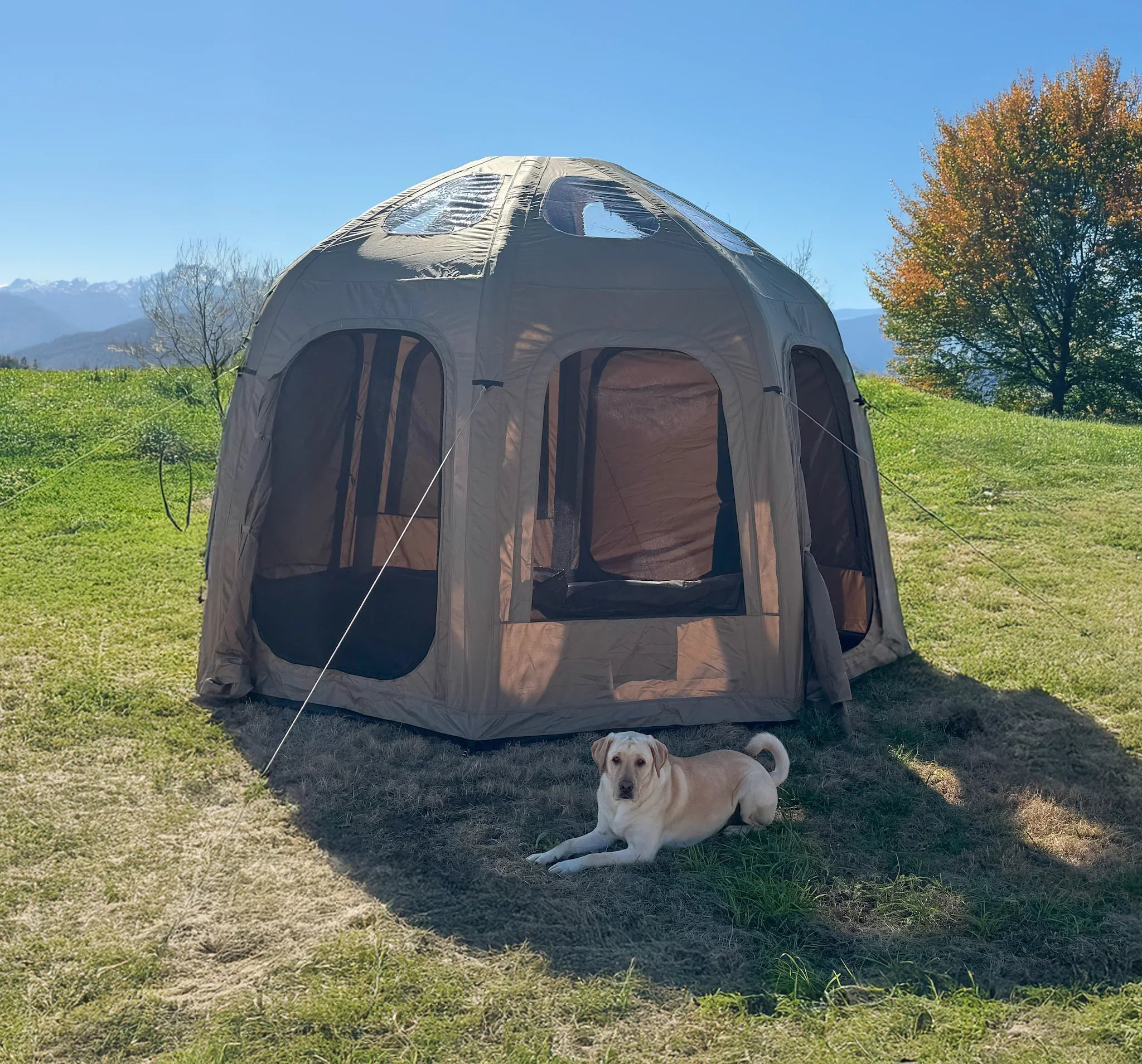 Galaxy Air Beam Tent | 13-Foot - Energize Trek