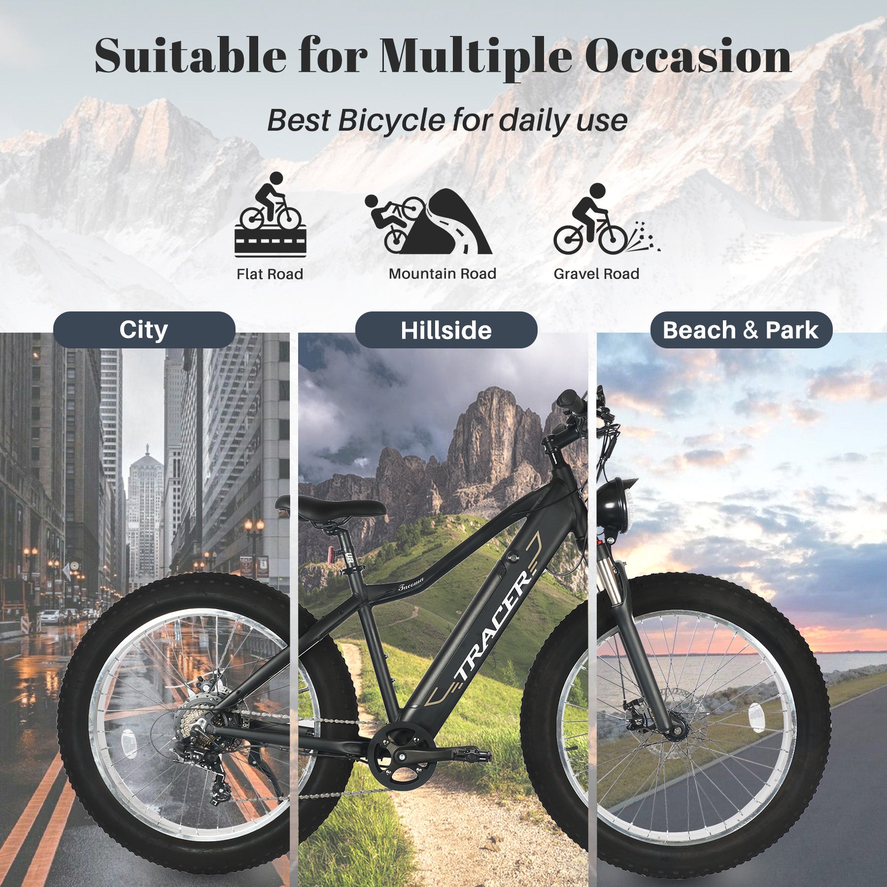 TRACER E Bike 26" Aluminum FAT Tire Bike, Size 18.5 with Shimano Tourney-7sp & Disc Brake F& R, Motor: 800W with/ Speed Sensor Battery 48V 11.6Ah - Energize Trek