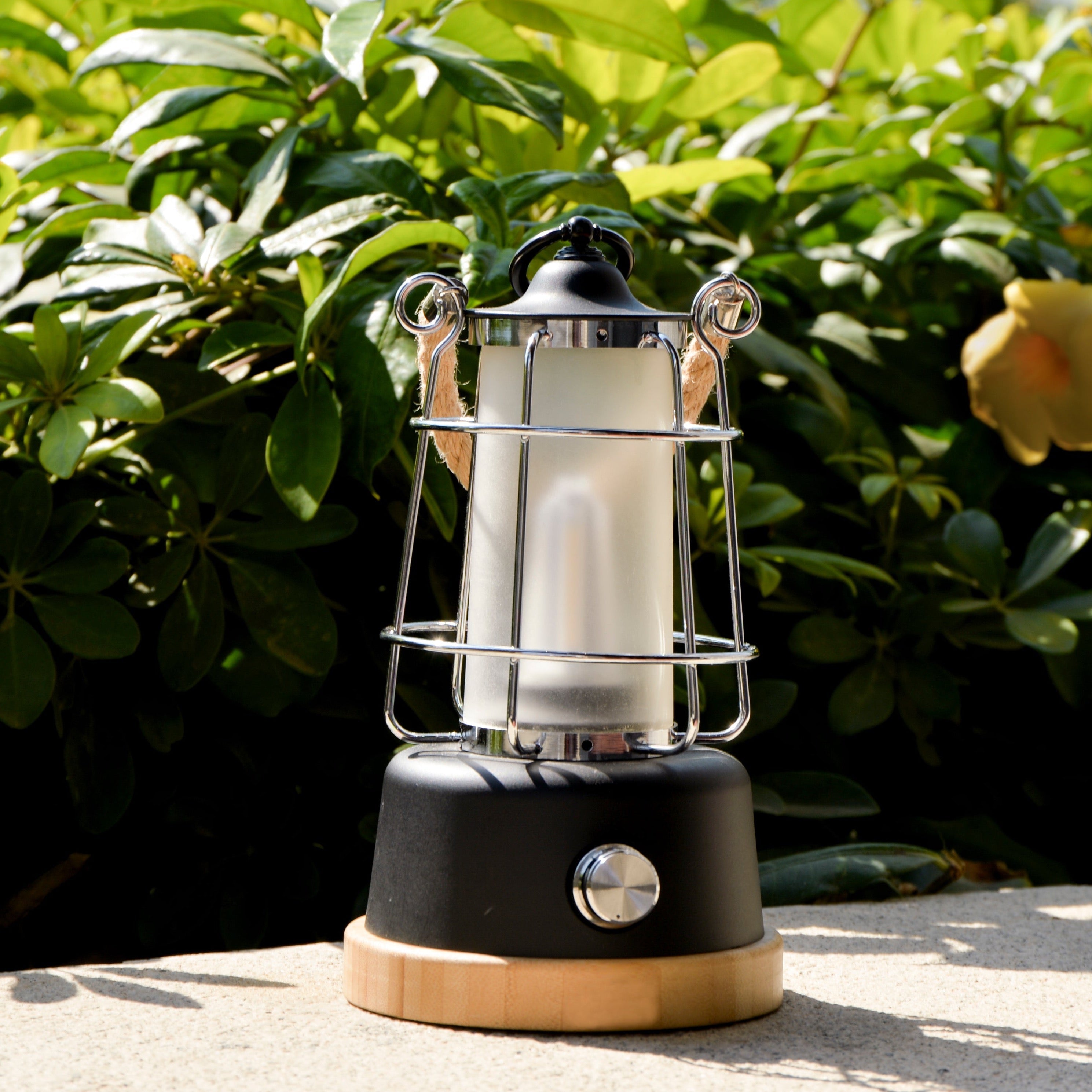 TRU De-LIGHT YOU&ME LED, Dimmable, Color Temperature & Brightness Adjustable, Rechargeable LED Lamp - Energize Trek
