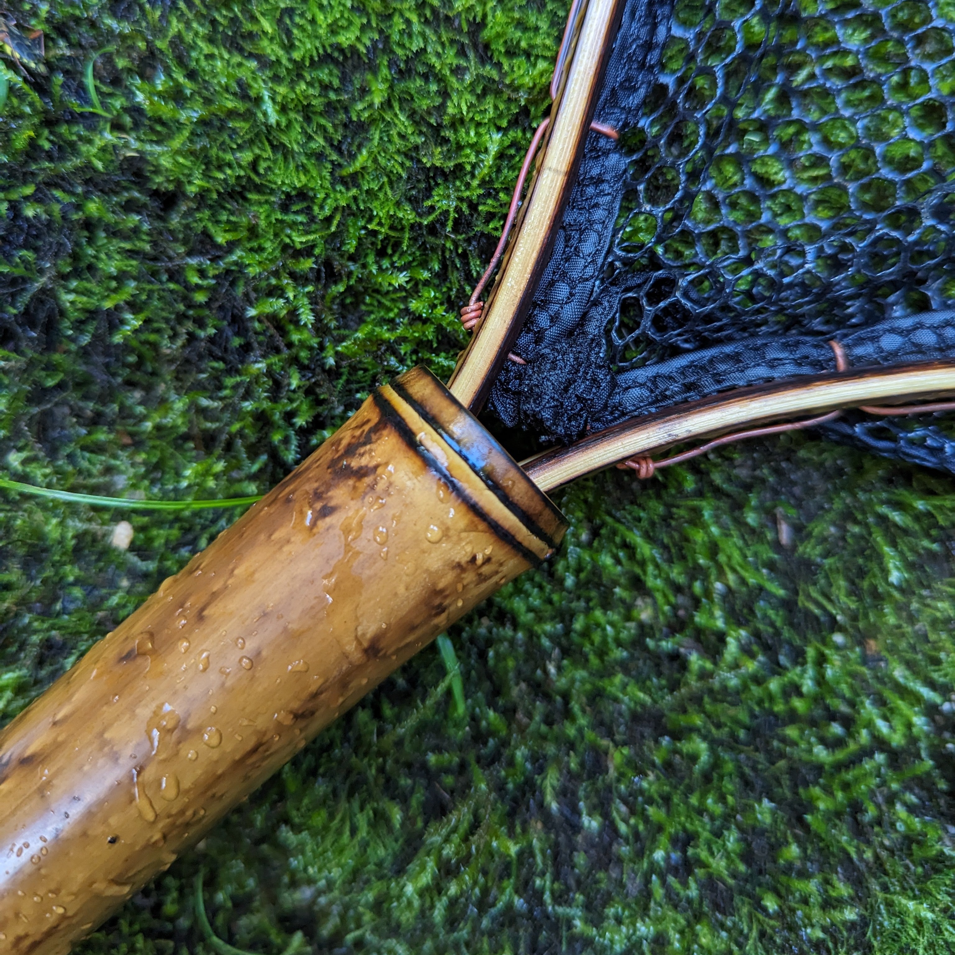 The Brookie - 8x12" Hoop - Energize Trek