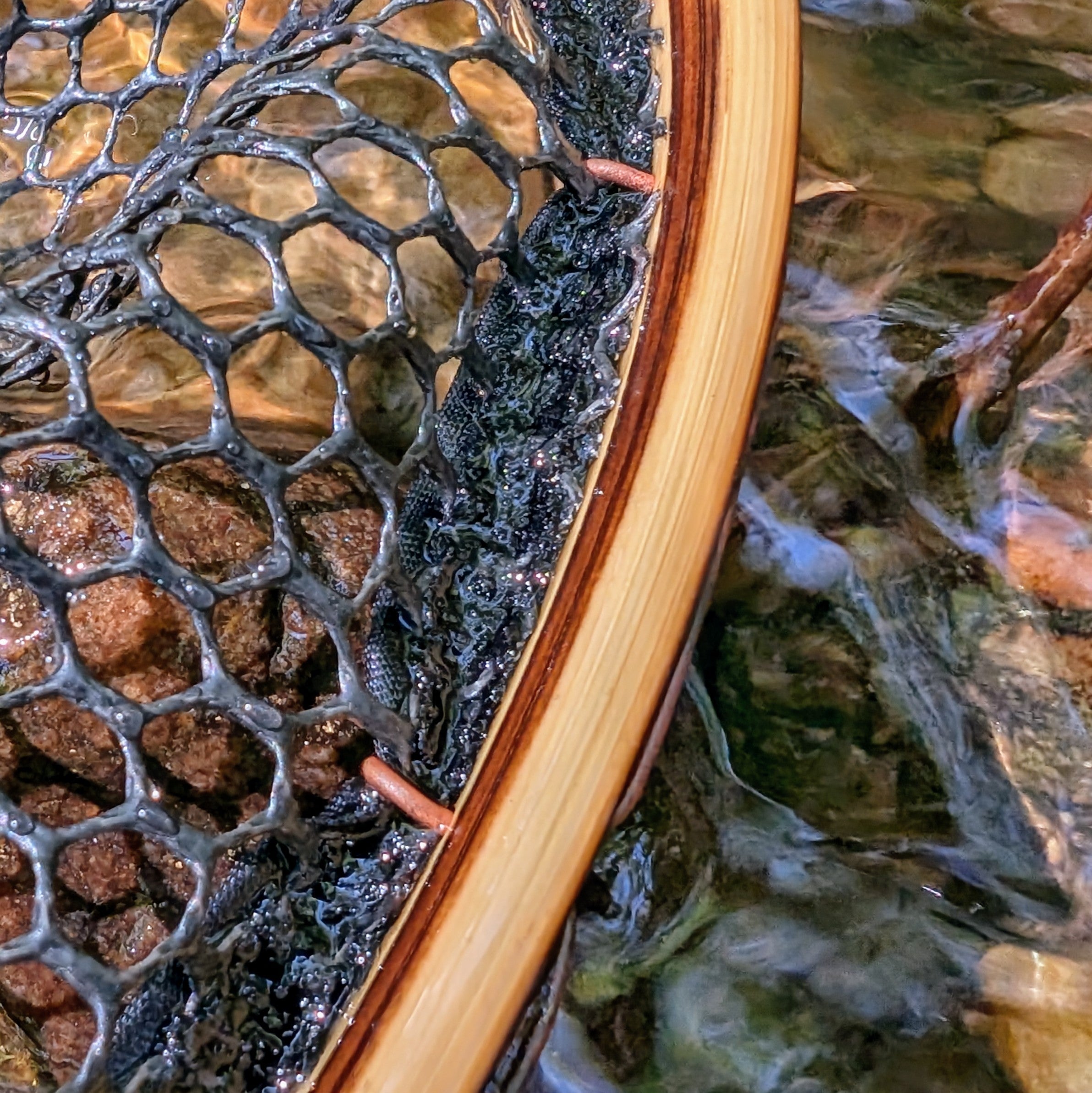 The High Sierra - 8x17" Hoop - Energize Trek