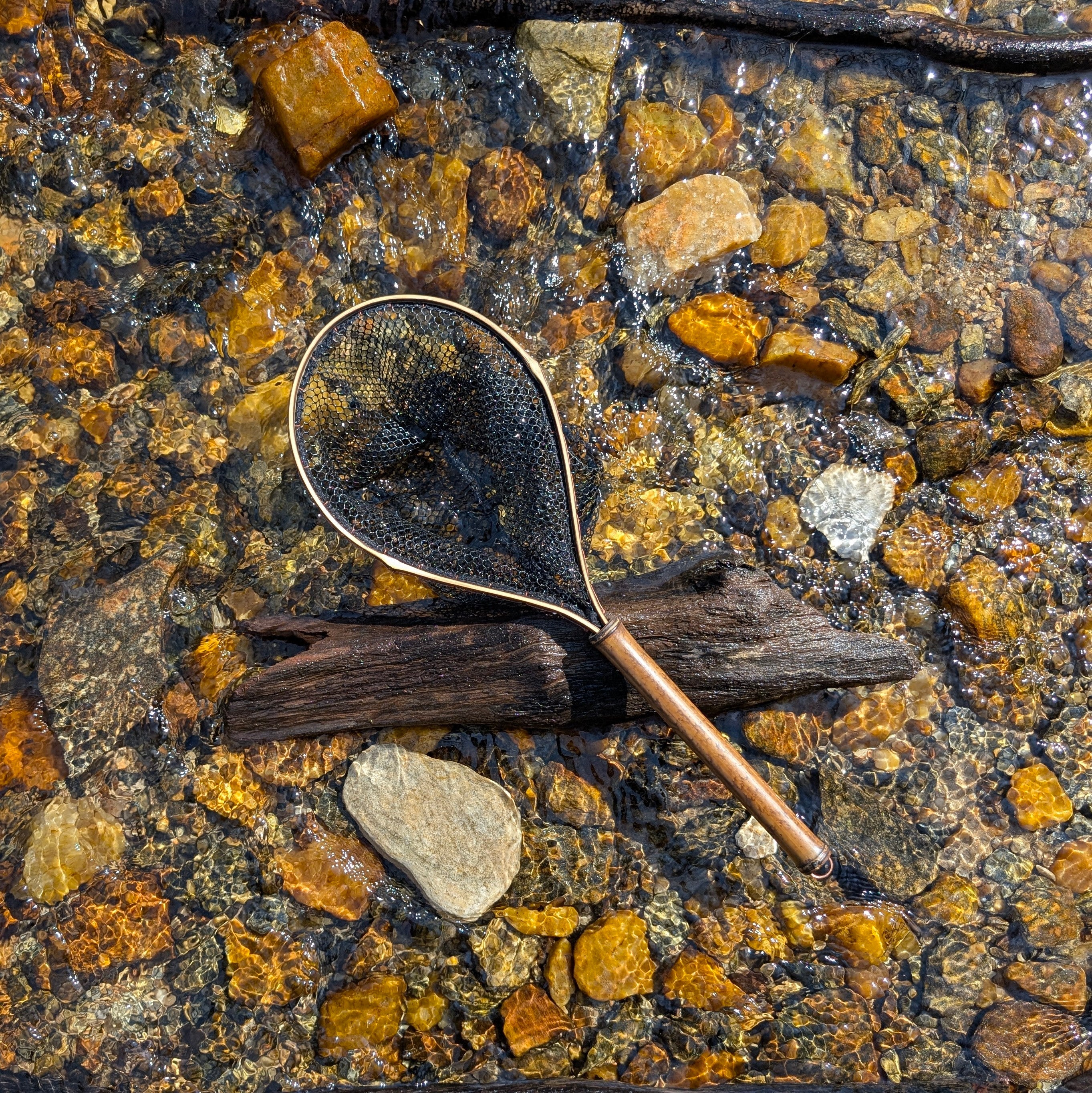 The Speck - 6.5x10" Hoop - Energize Trek