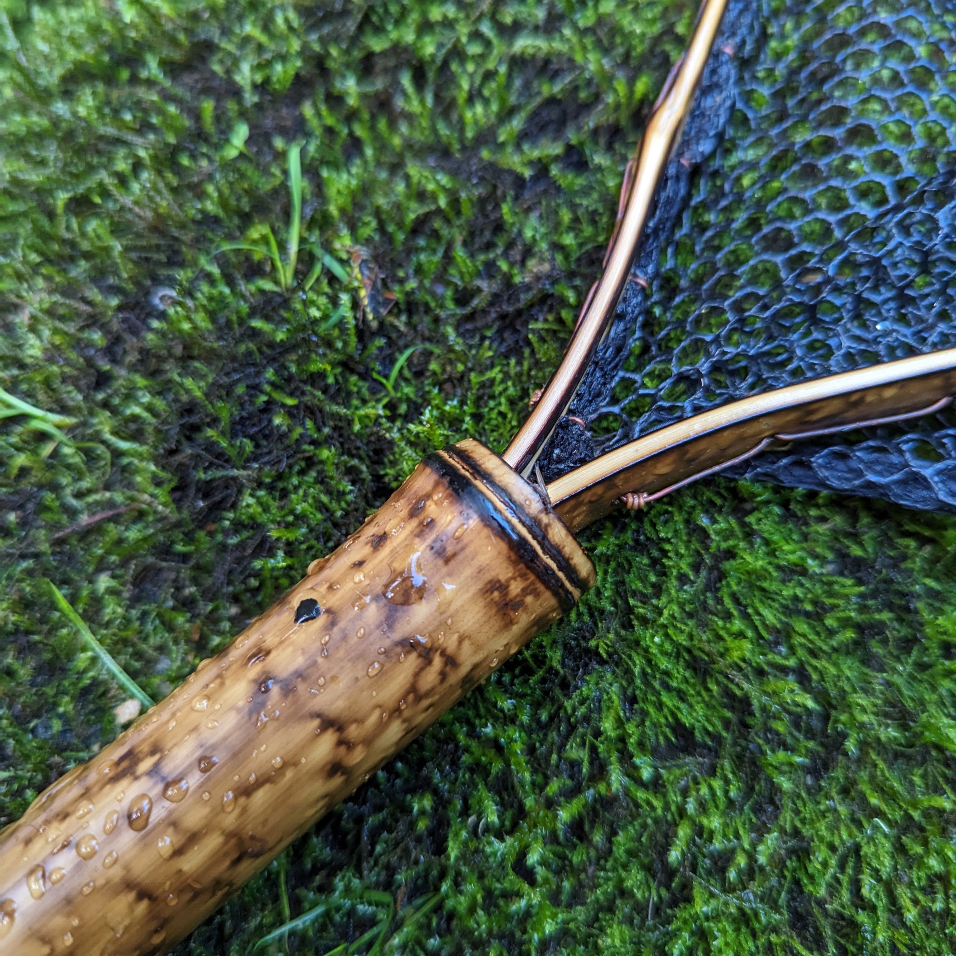 The Speck - 6.5x10" Hoop - Energize Trek