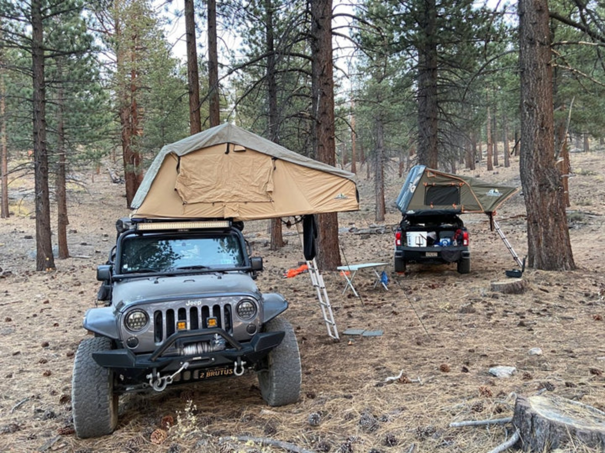 Tuff Stuff Alpha Hard Shell Rooftop Tent - 4 Person - Energize Trek