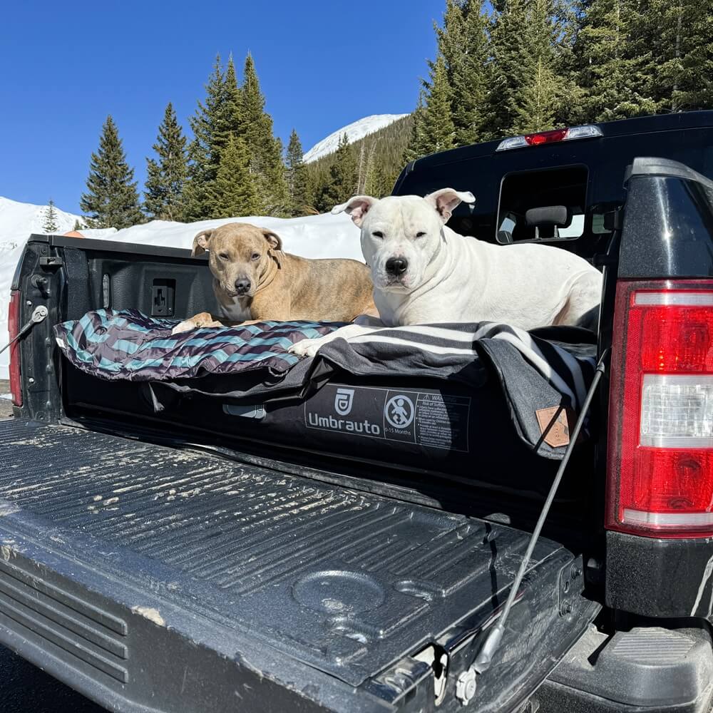 Umbrauto 5.5-6.5ft Built-in Pump Truck Bed Air Mattress 3.0 - Energize Trek