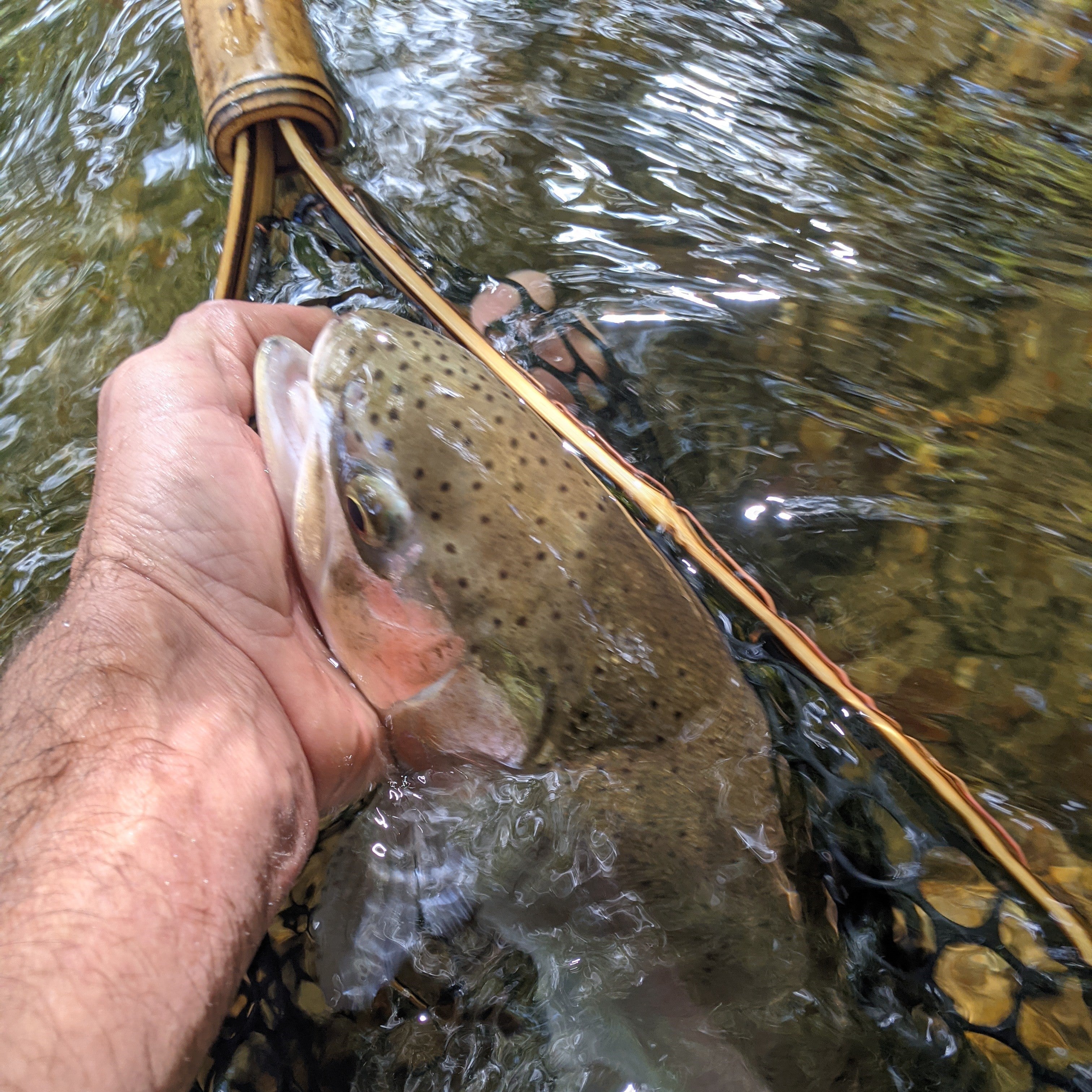 Upstream Wide - 14x19" Hoop - Energize Trek