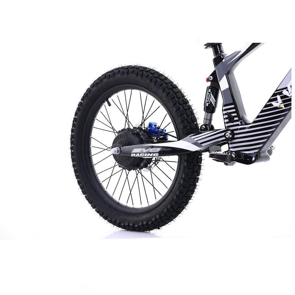 Voltaic Youth Electric Dirt Bike 20'' Flying Fox - Energize Trek