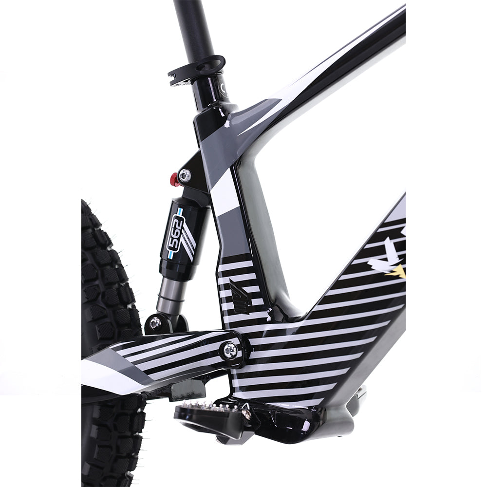 Voltaic Youth Electric Dirt Bike 20'' Flying Fox - Energize Trek