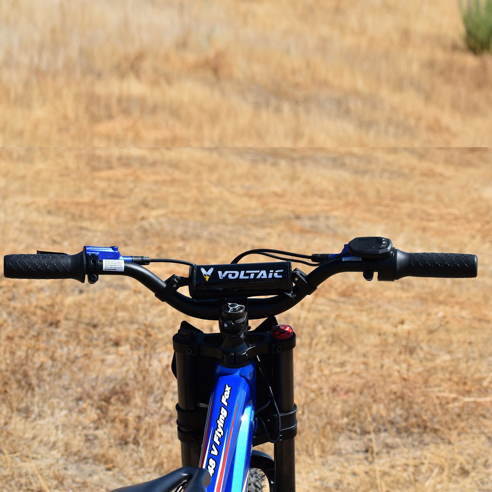 Voltaic Youth Electric Dirt Bike 20'' Flying Fox 48V - Energize Trek