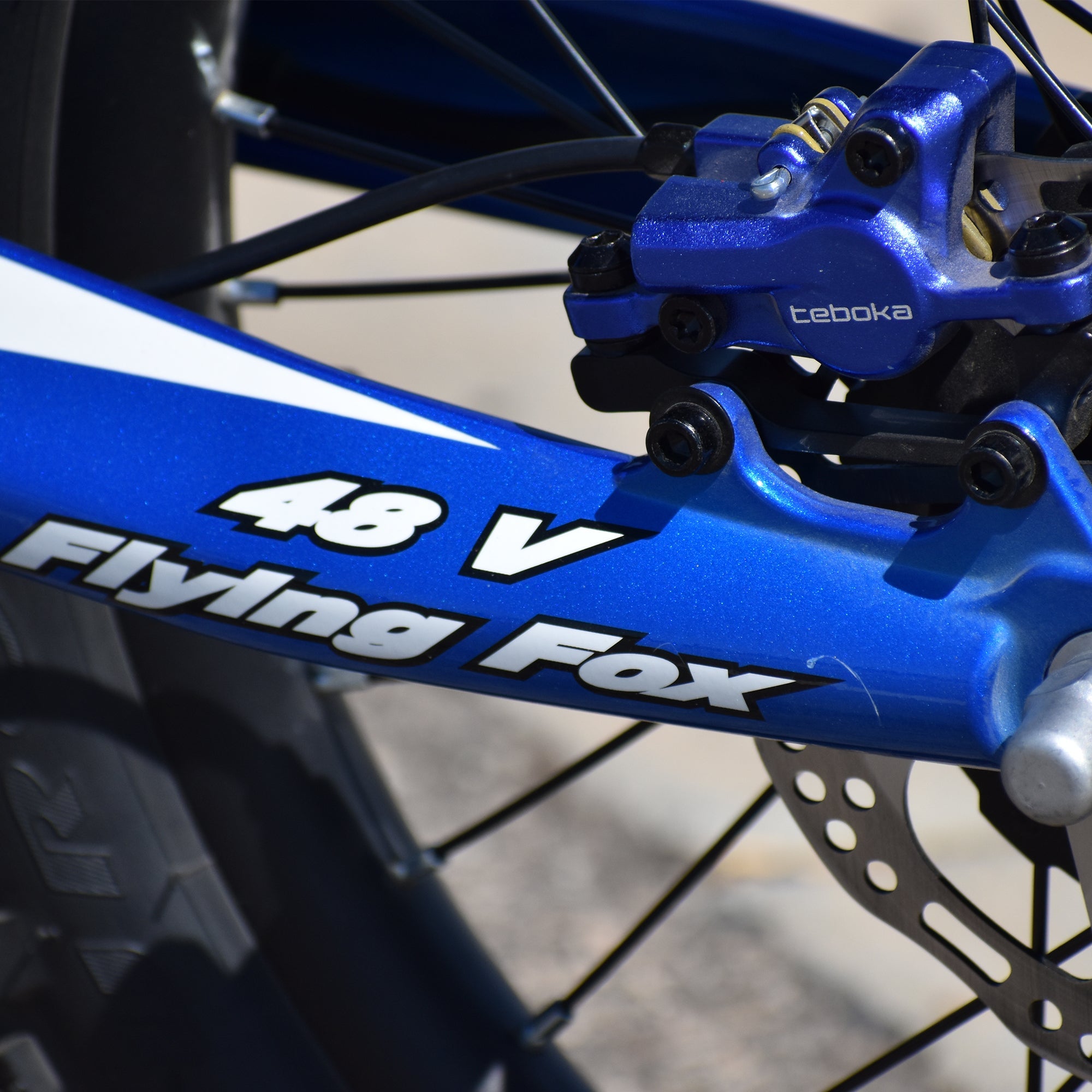 Voltaic Youth Electric Dirt Bike 20'' Flying Fox 48V - Energize Trek