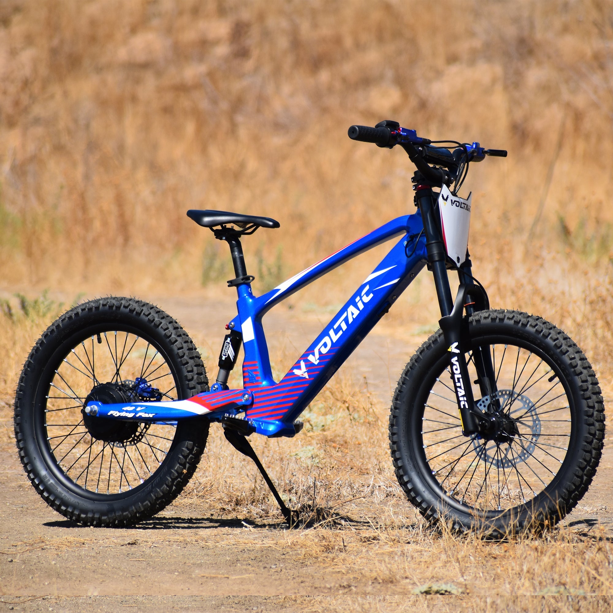 Voltaic Youth Electric Dirt Bike 20'' Flying Fox 48V - Energize Trek