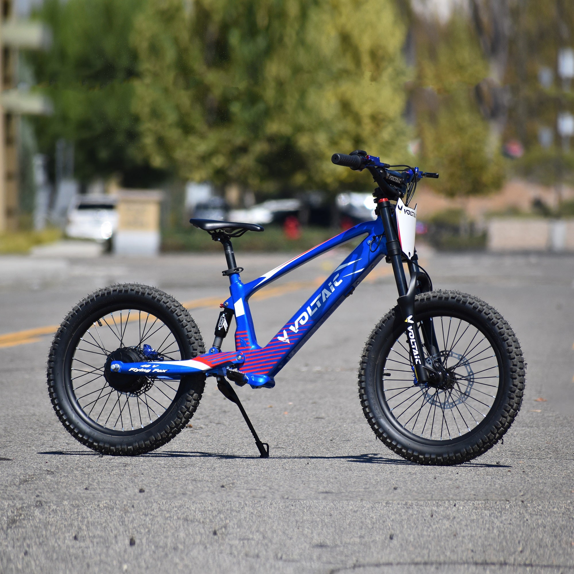 Voltaic Youth Electric Dirt Bike 20'' Flying Fox 48V - Energize Trek