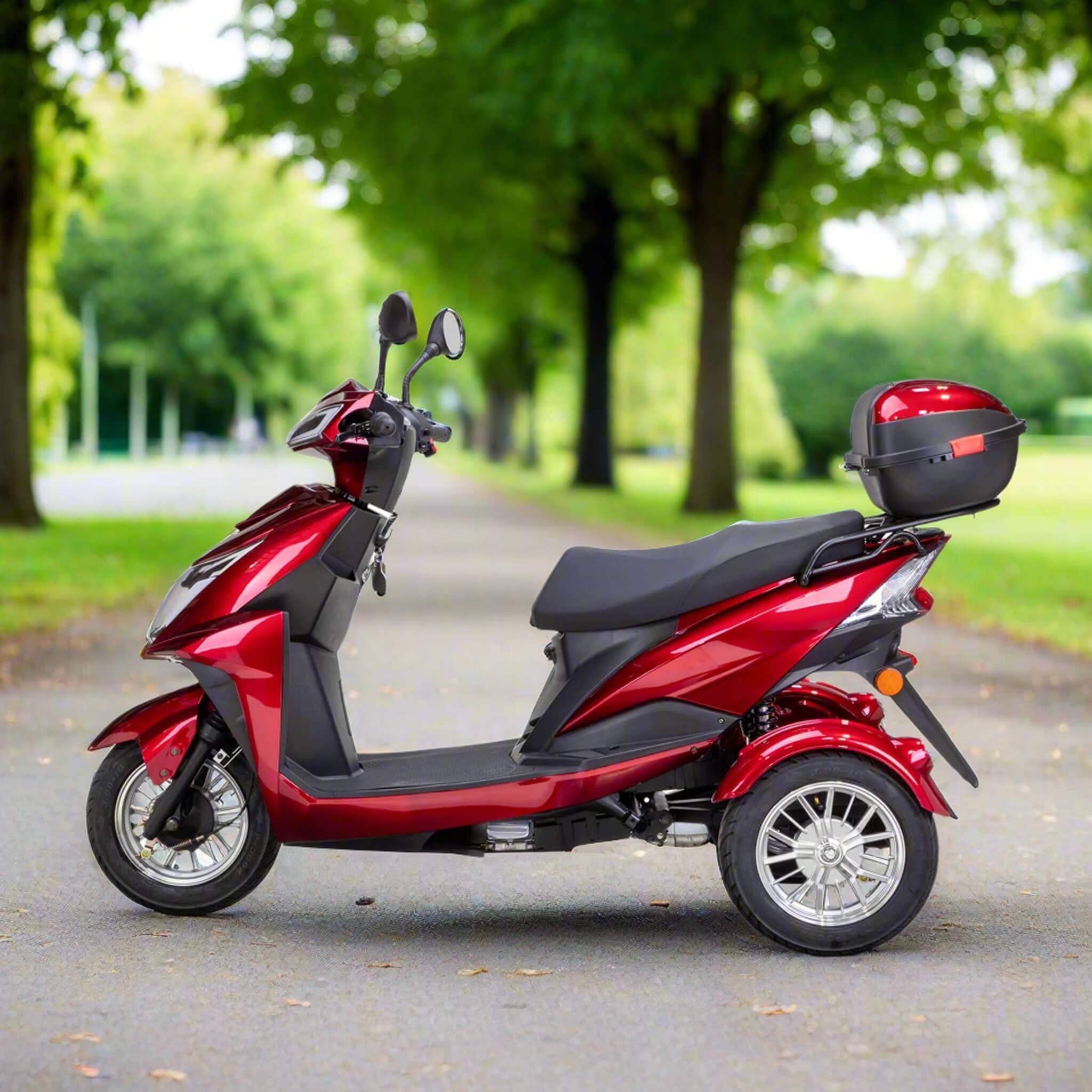 Bespoke Regal Premium Electric Mobility Scooter With Electronic Speed Control, 400LBS (SAK28351) - Energize Trek