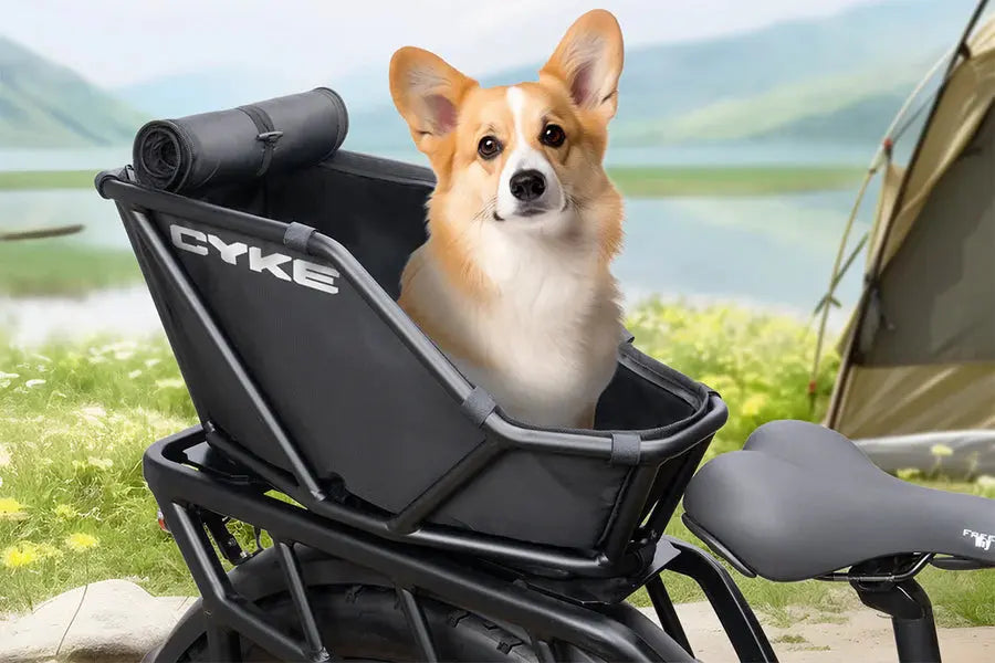 CYKE Rear Rack Basket - Energize Trek
