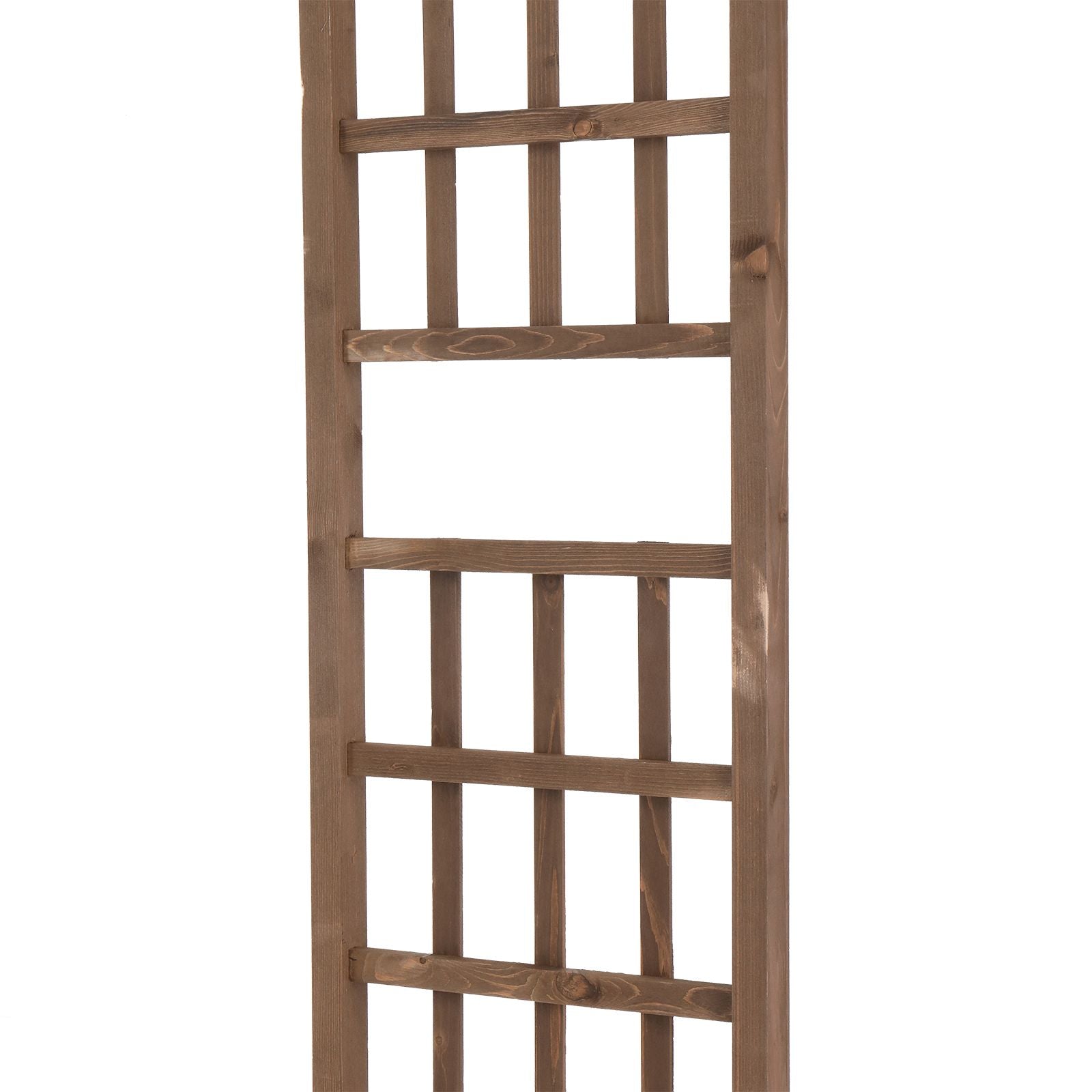 557770691