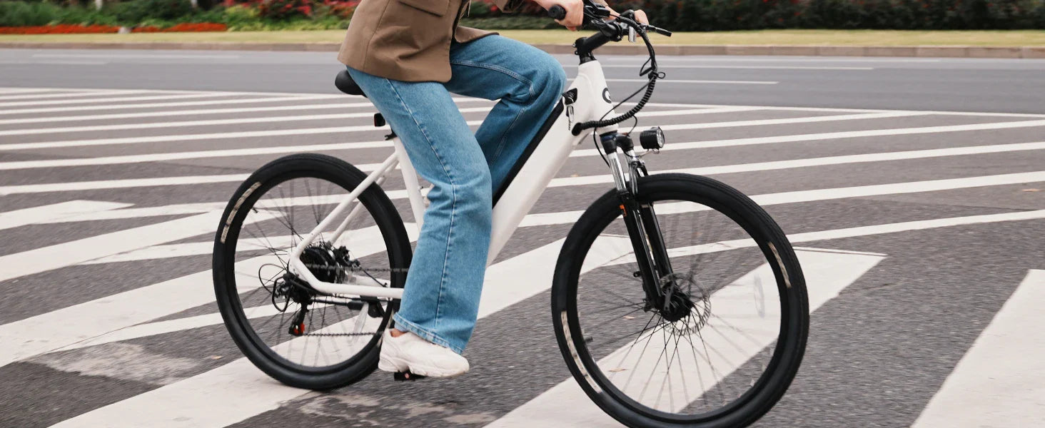 eBike Boys 750W Electric Bike - Step-Through Frame, 36V Battery - Energize Trek