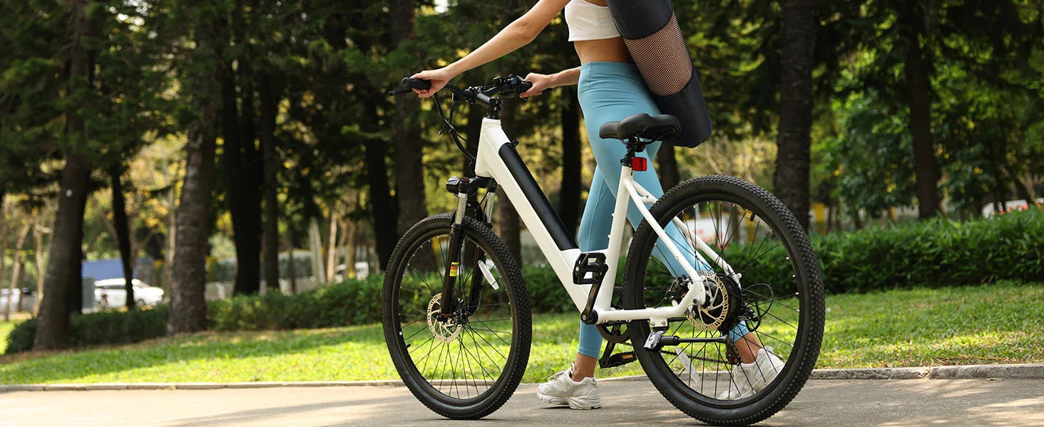 eBike Boys 750W Electric Bike - Step-Through Frame, 36V Battery - Energize Trek
