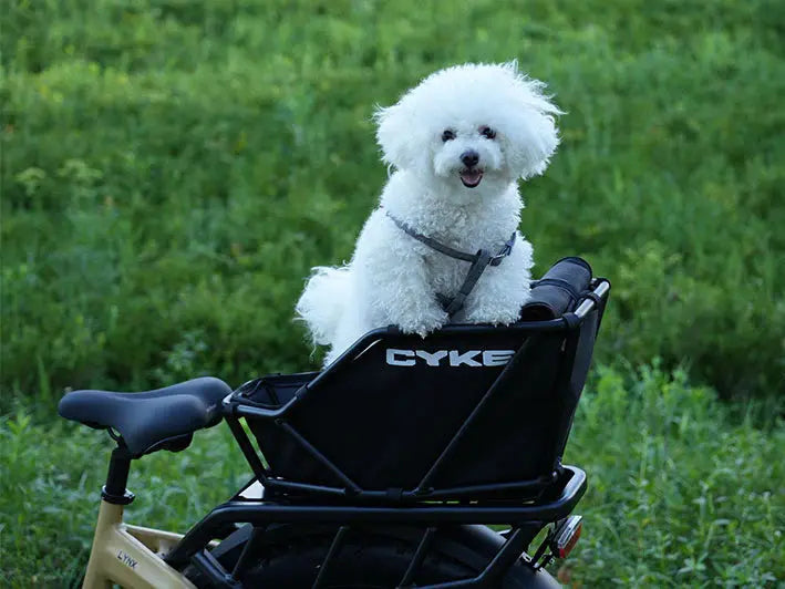 CYKE Rear Rack Basket - Energize Trek
