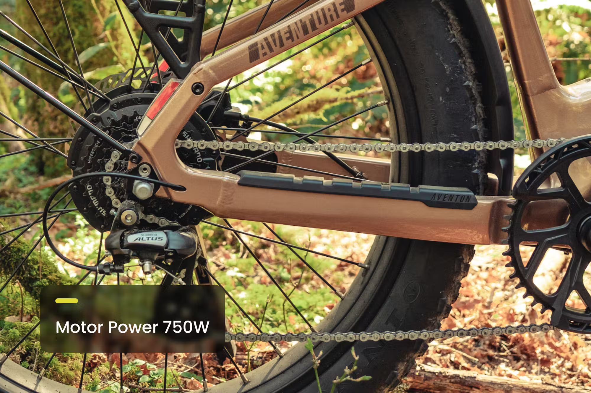 Aventon Aventure.3 E-Bike Step-Through - Energize Trek
