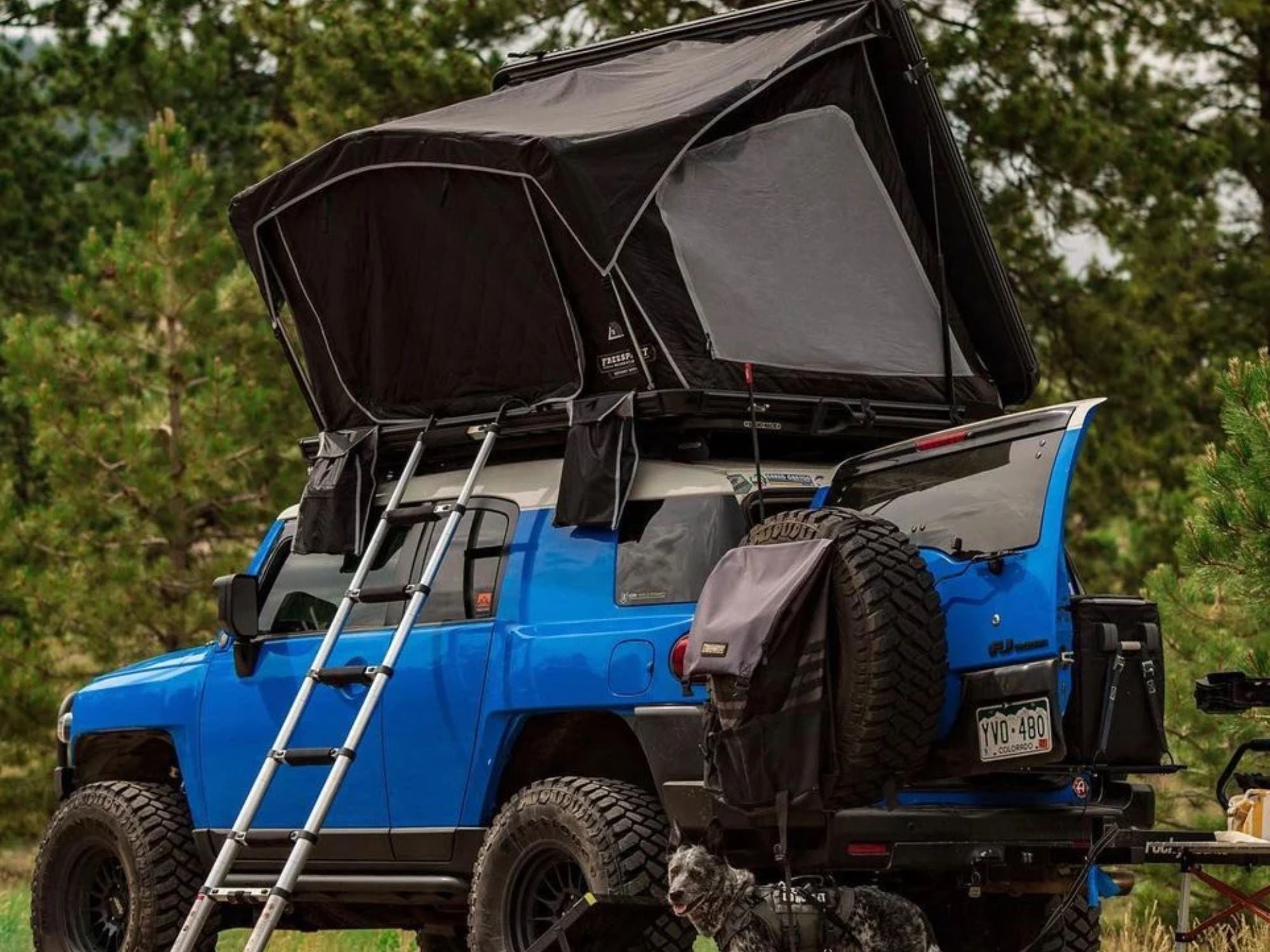 goFSR Odyssey Series 55" Rooftop Tent: 2-3 Person - Energize Trek
